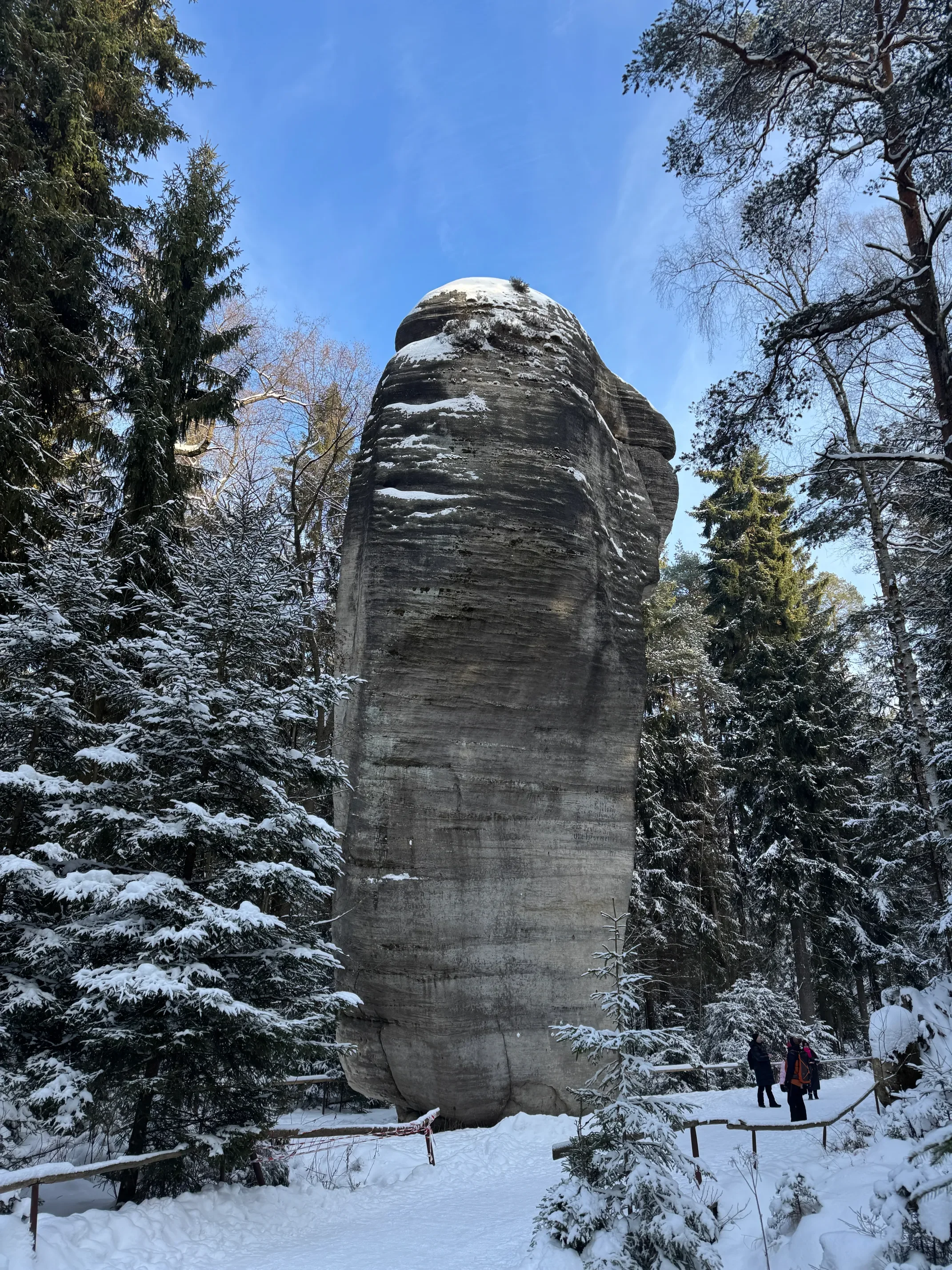 Osamělý monumentální pískovcový sloup mezi zasněženými smrky v zimě v Adršpašských skalách, Česko
