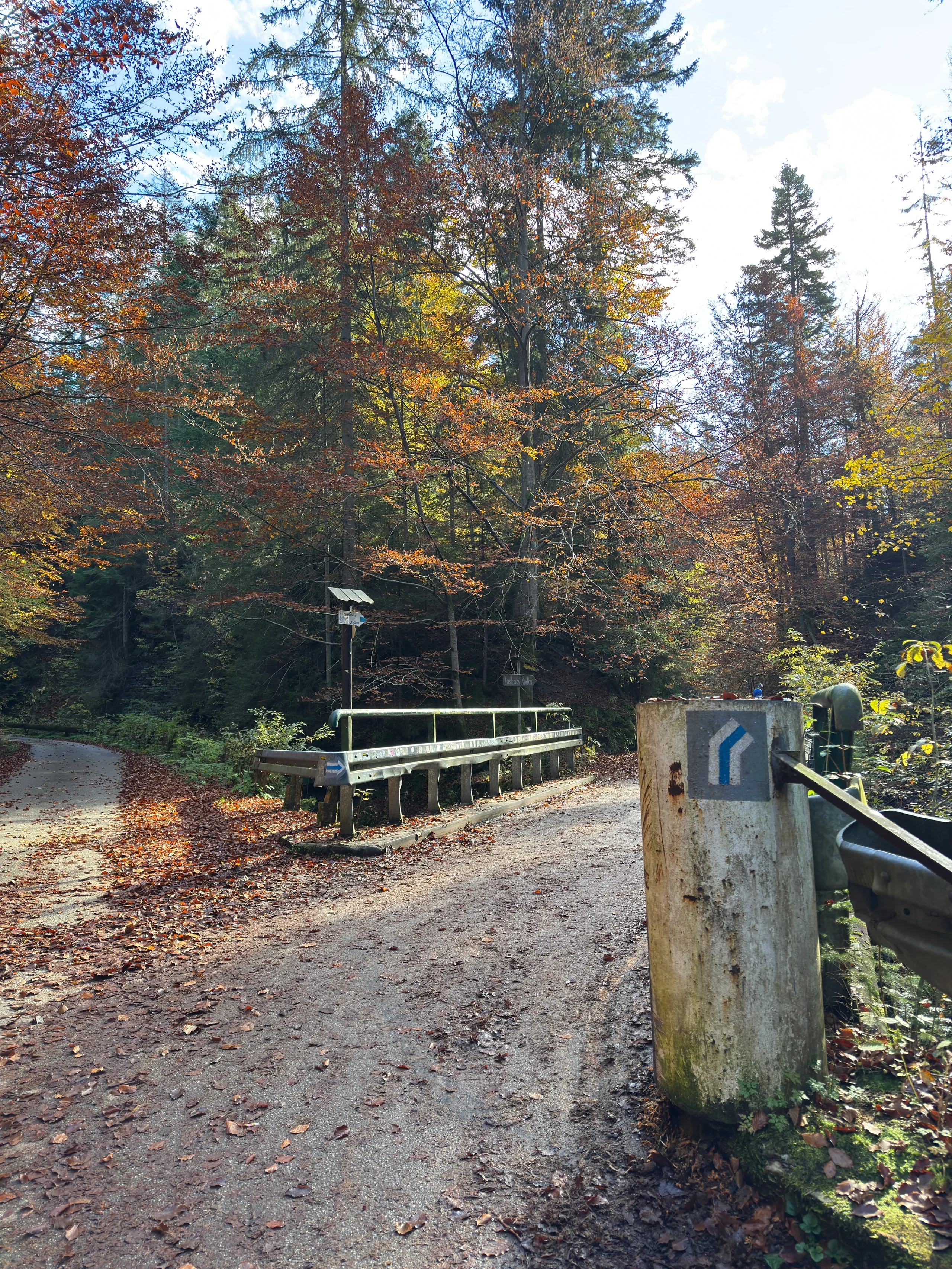 Mostek i oznaczenie szlaku niebieskiego na Baranią Górę
