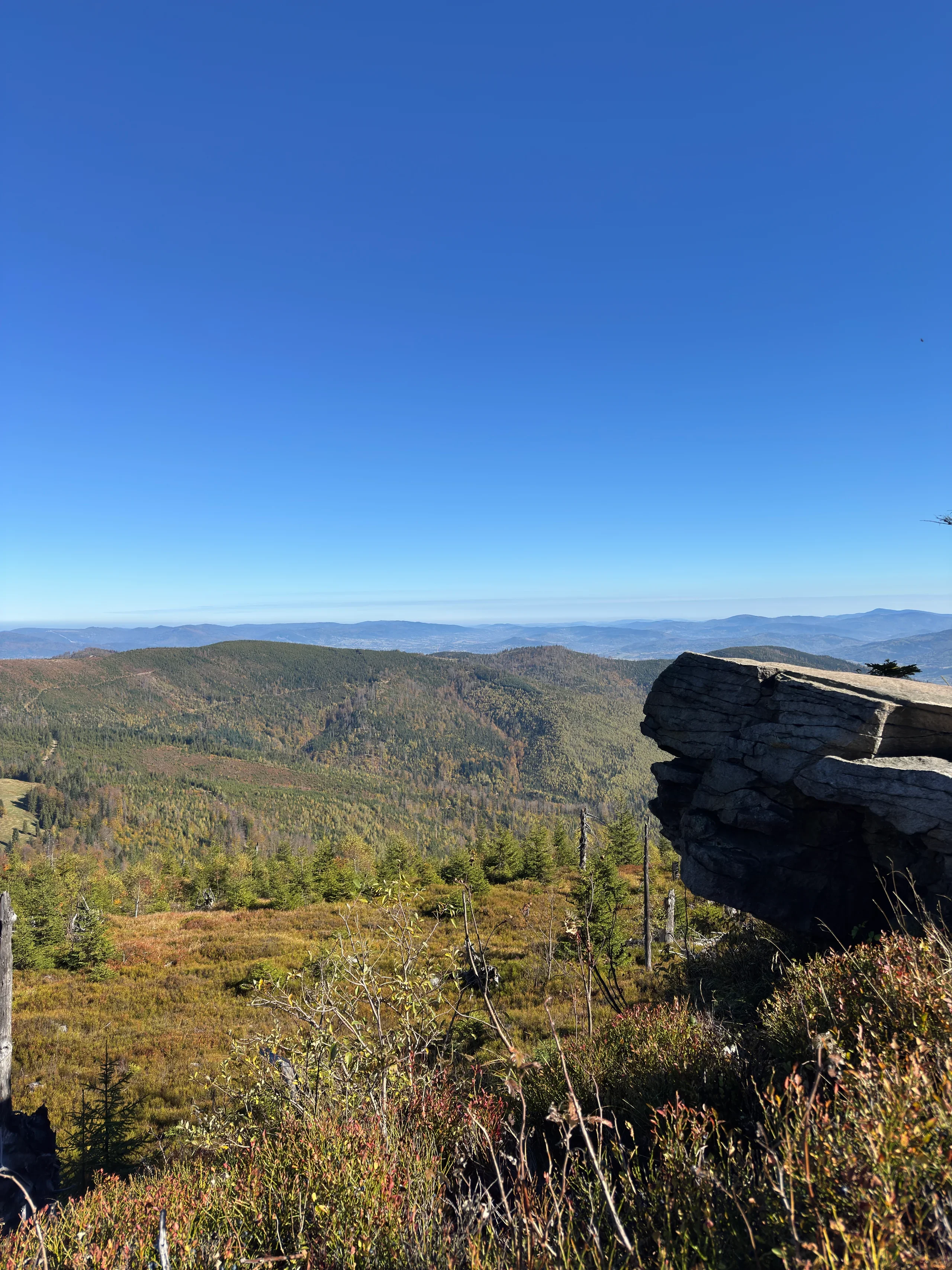 Wychodnia skalna i widok na Beskid Śląski spod szczytu Baraniej Góry