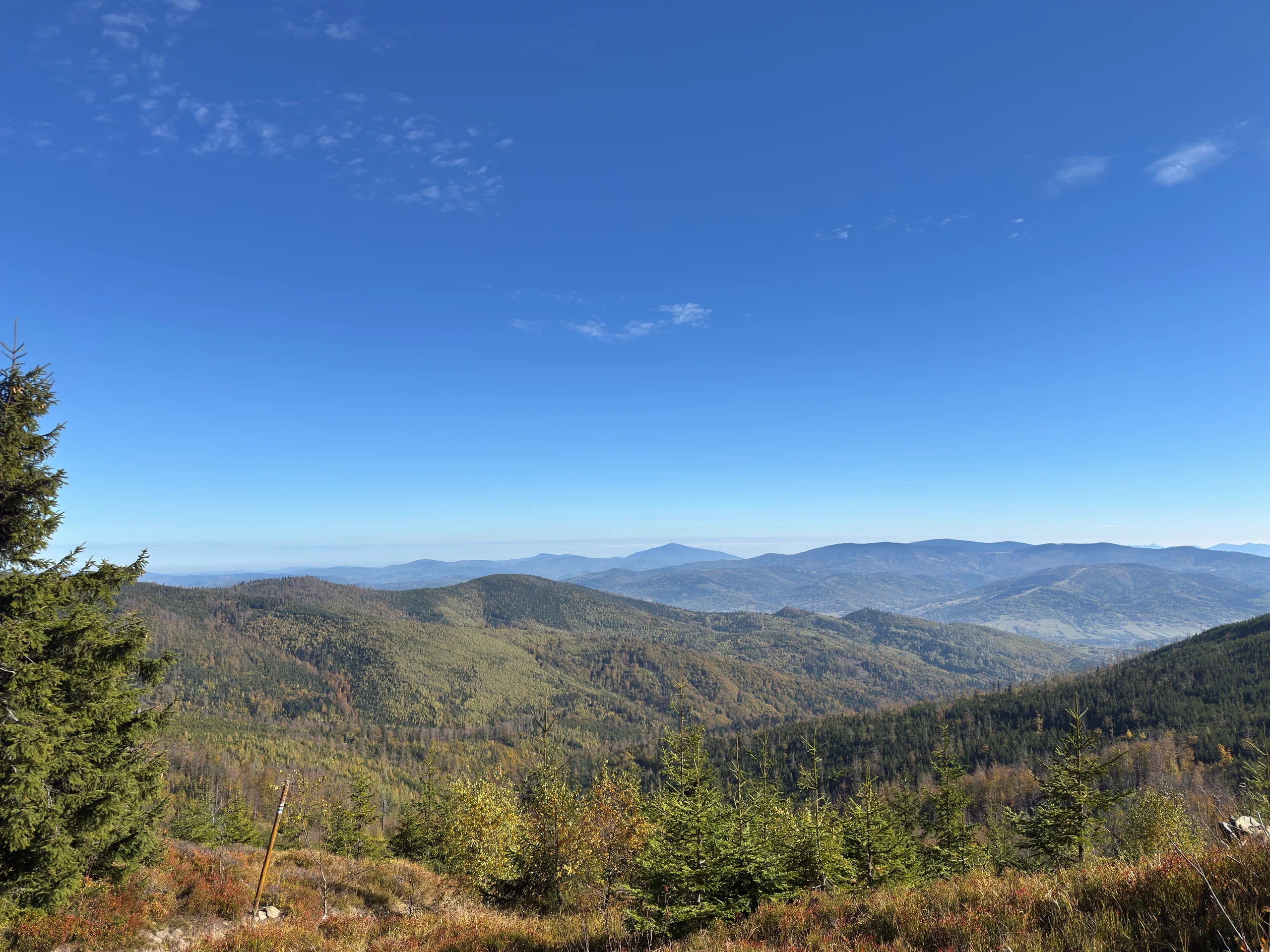 Panorama Beskidu Śląskiego ze stoków Baraniej Góry