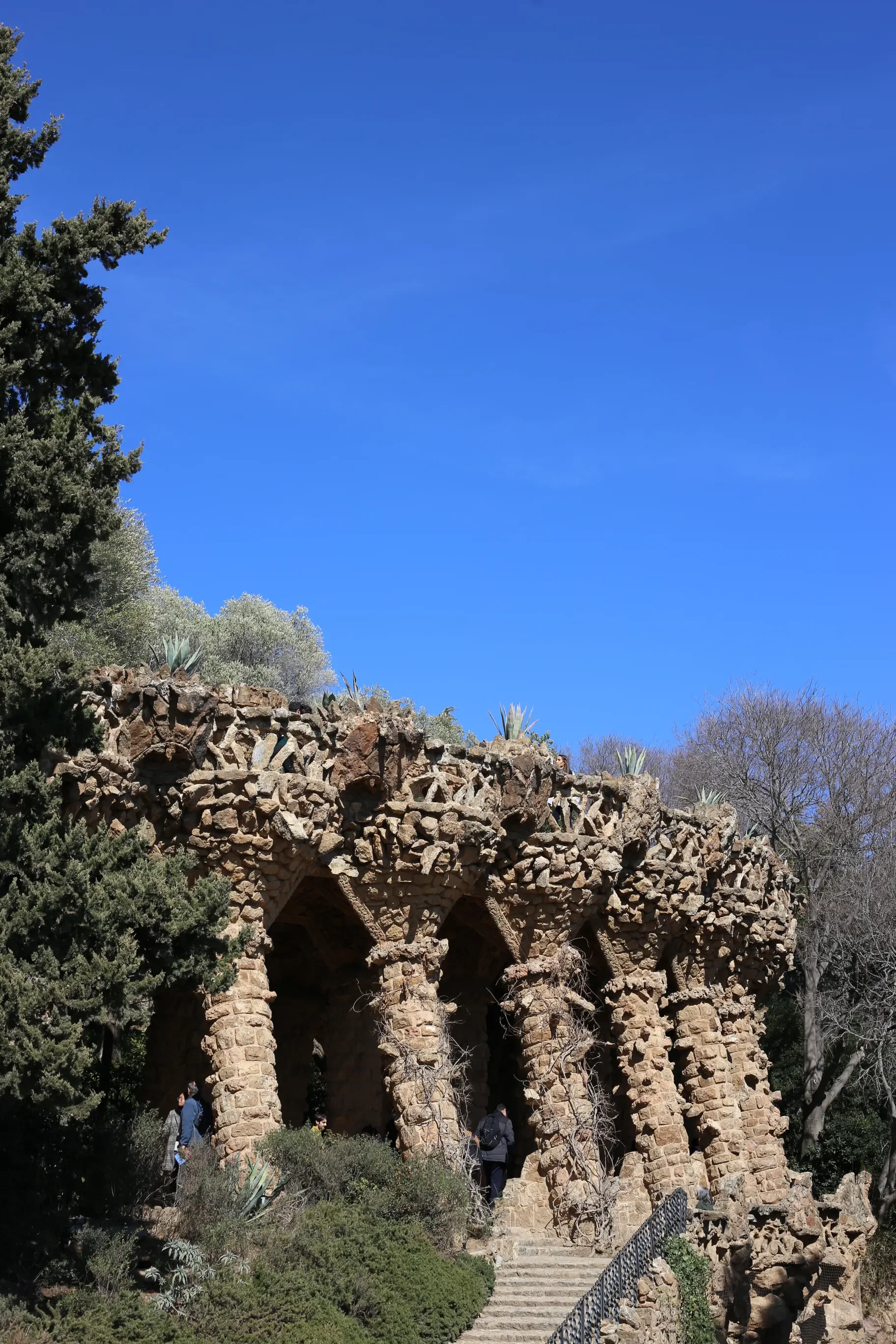 Kamienna kolumnada wsparta na pochyłych filarach w Park Güell w Barcelonie z sukulentami na szczycie