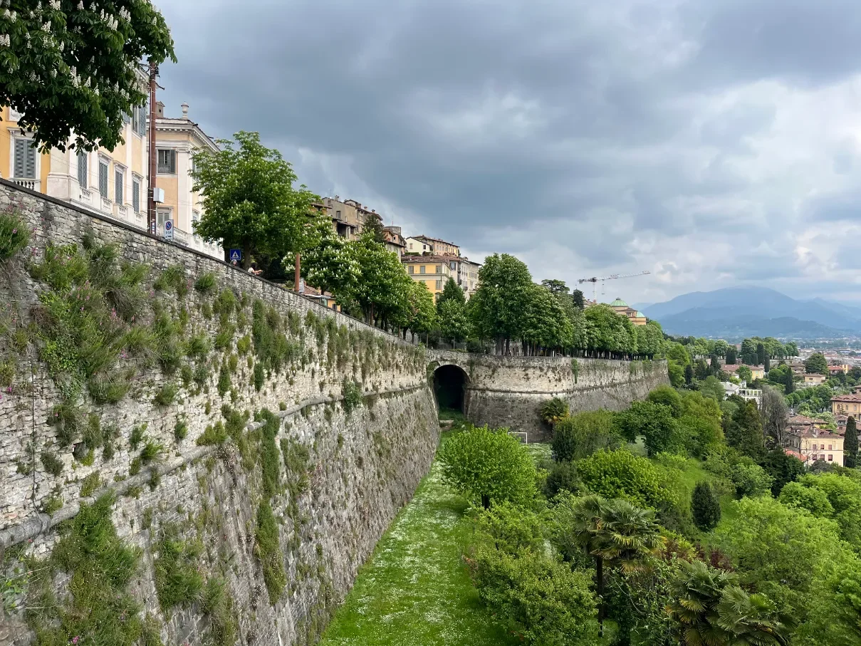 Wall