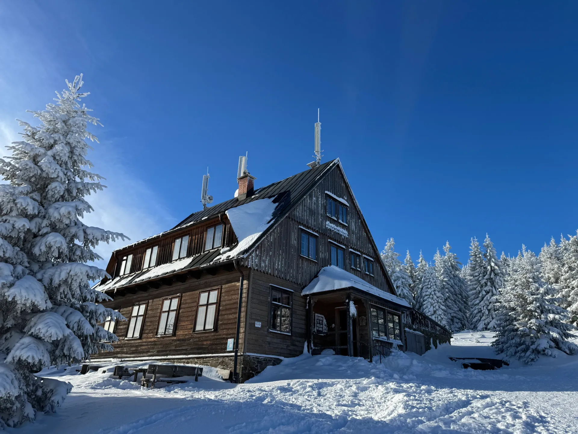 Schronisko Jelenka (Jelení bouda) 1260 m zimą wśród ośnieżonych świerków w Karkonoszach przy granicy polsko-czeskiej