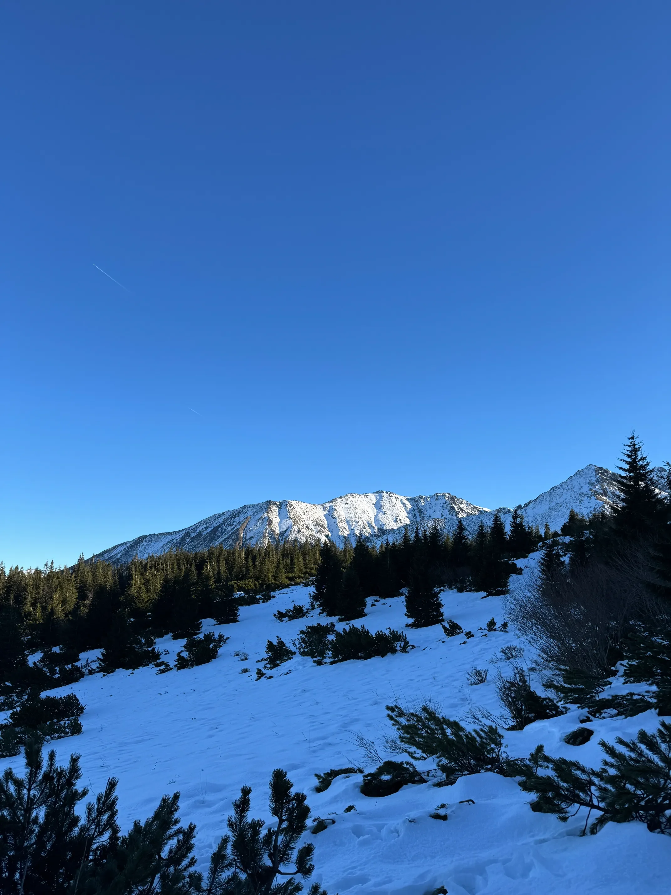 Tatranské panorama ze žluté značky cestou na Kasprowy Wierch