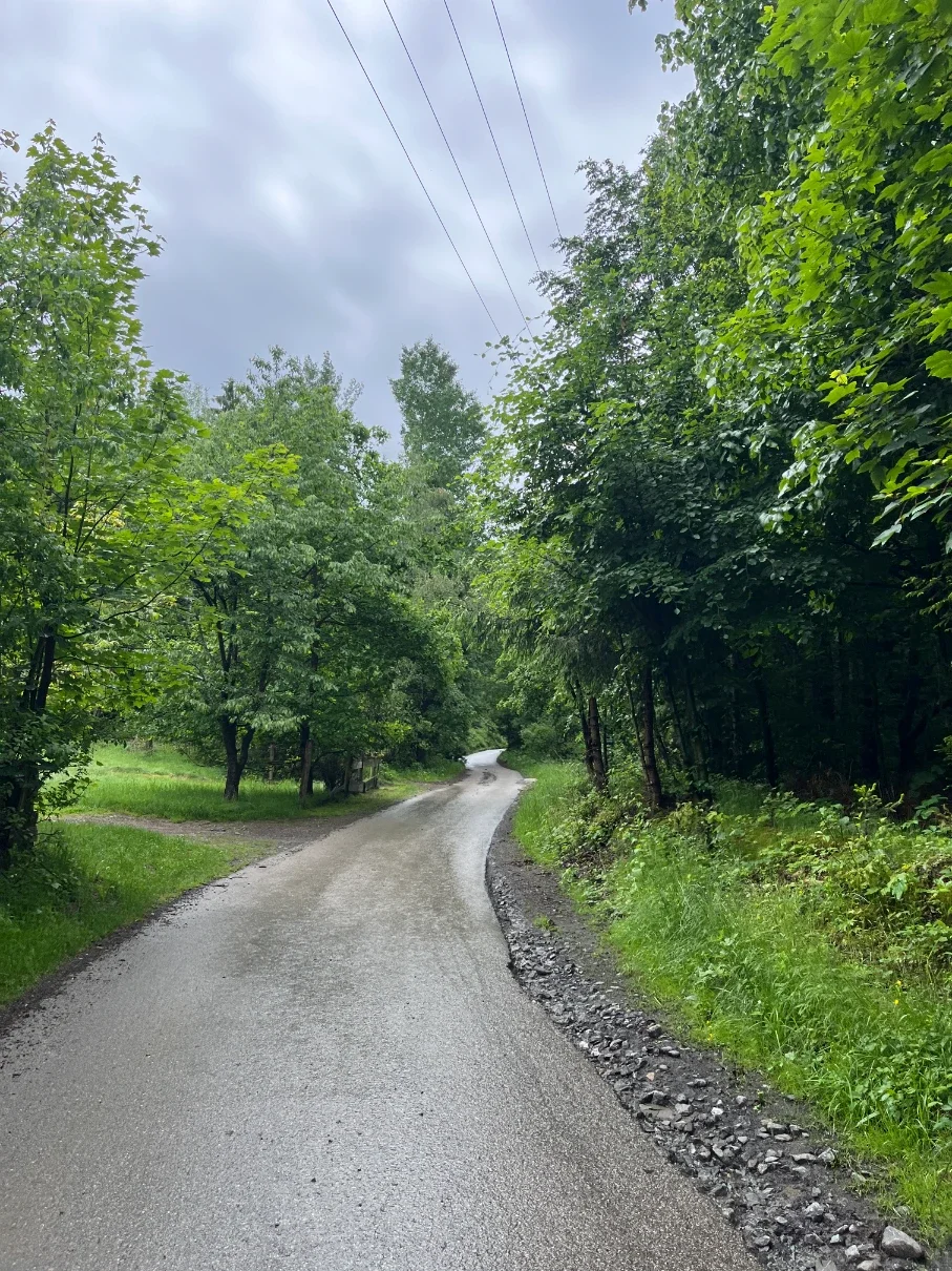 Asphalt road climbing through summer green forest at the start of the blue Kotarz trail from the Hołcyna Valley