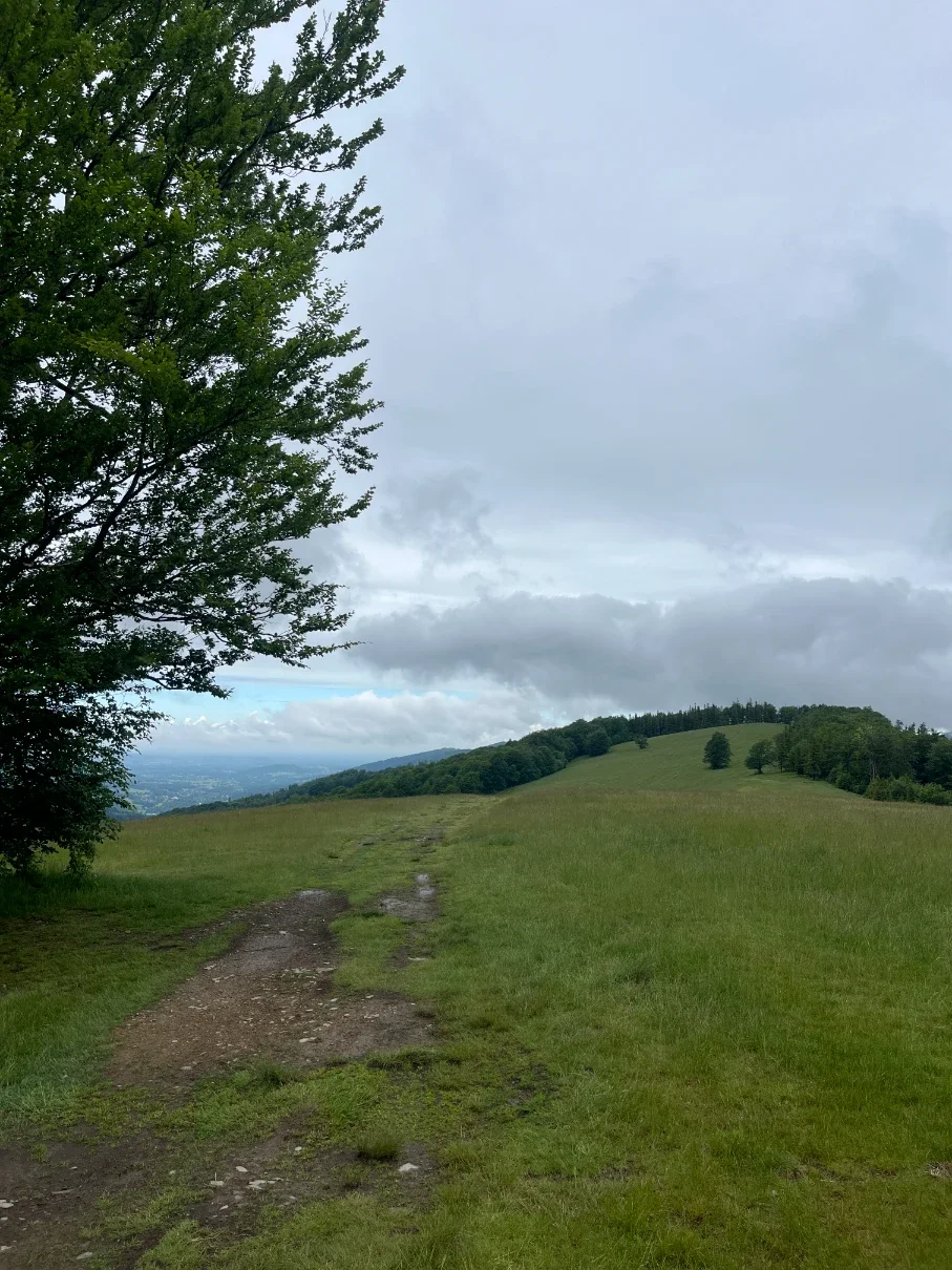 Trail path through the Hala Jaworowa meadow with the forested Kotarz ridge ahead and the Brenna valley below