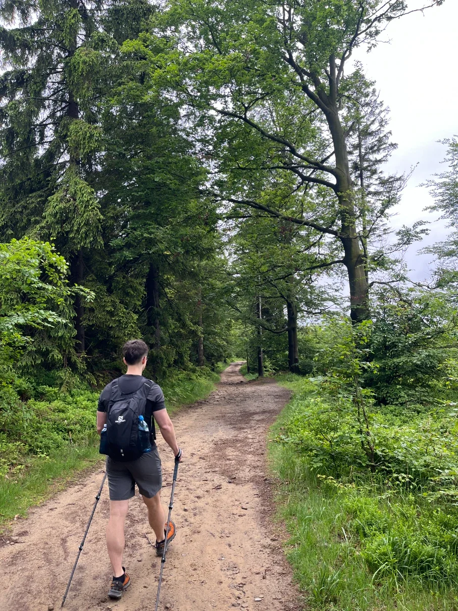 Hiker with trekking poles on a wide forest road heading toward Grabowa in the Silesian Beskids