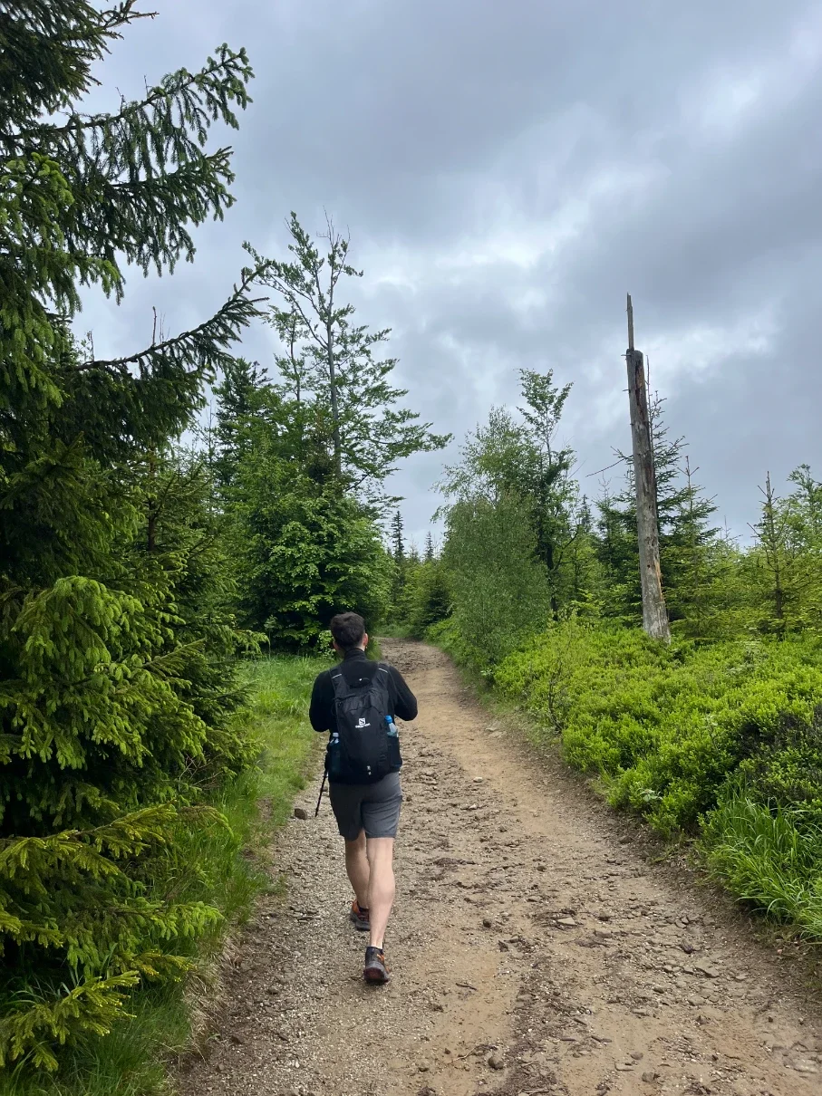 Hiker with backpack and pole on a wide gravel path through spruce forest between Kotarz and Grabowa