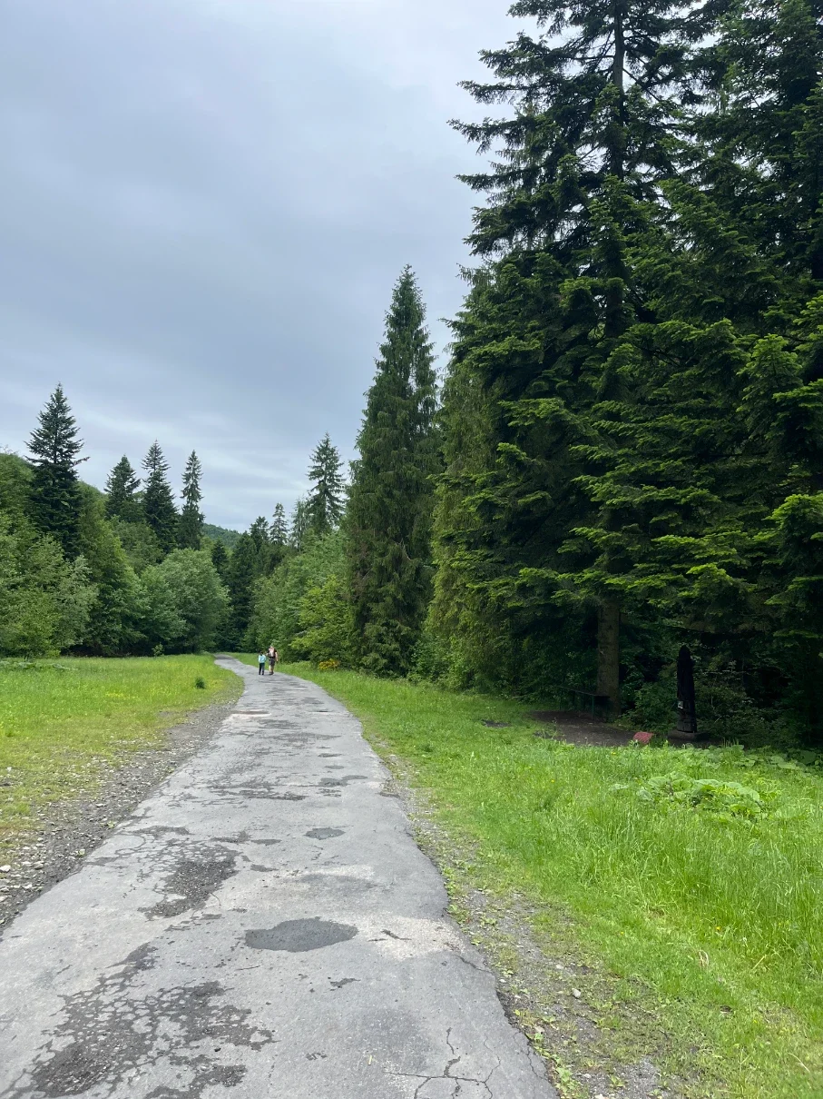 Old cracked asphalt road through a meadow returning to the Hołcyna Valley with a wooden folklore sculpture at the forest edge