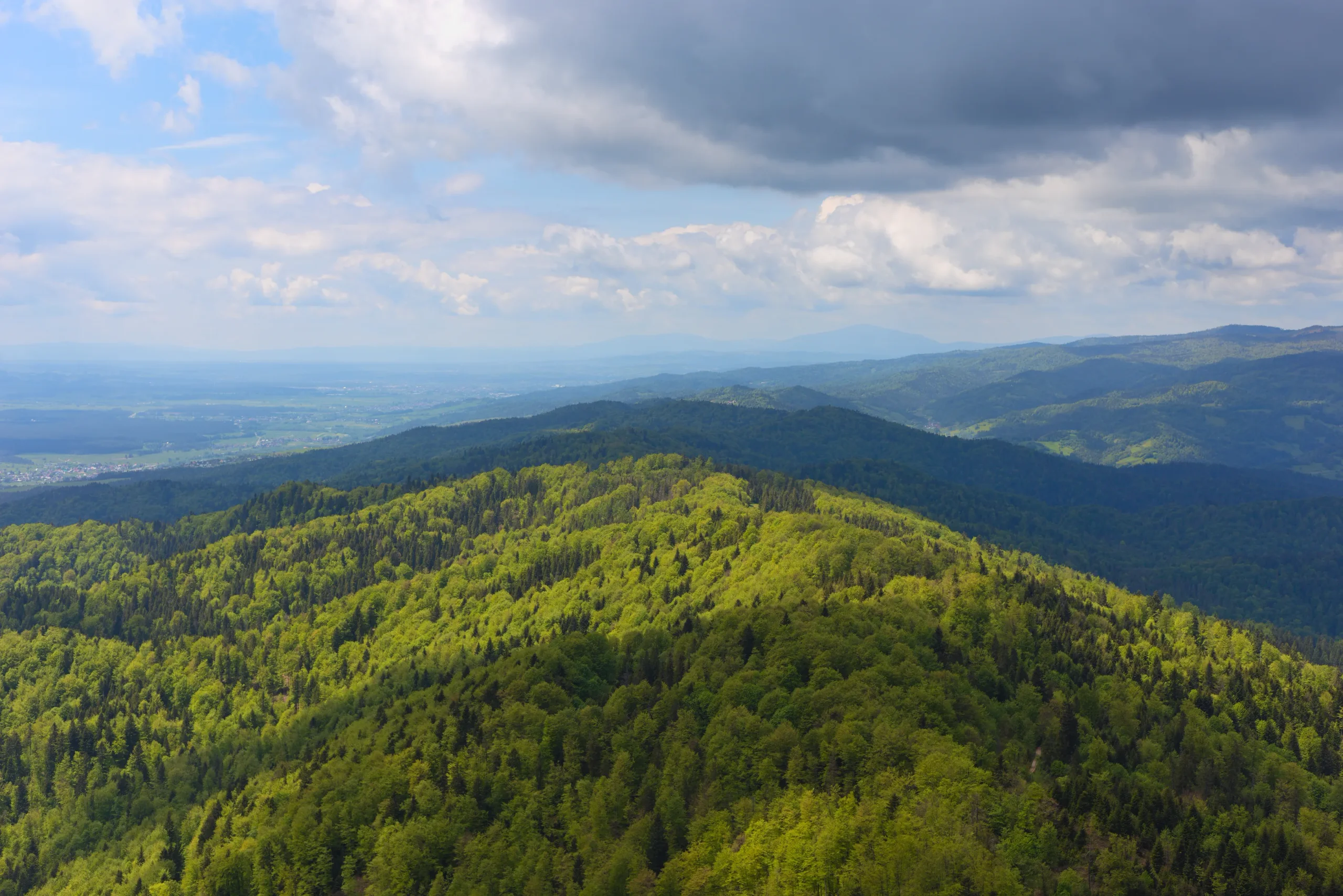 Lubań - szlak z Przełęczy Snozka w Gorcach