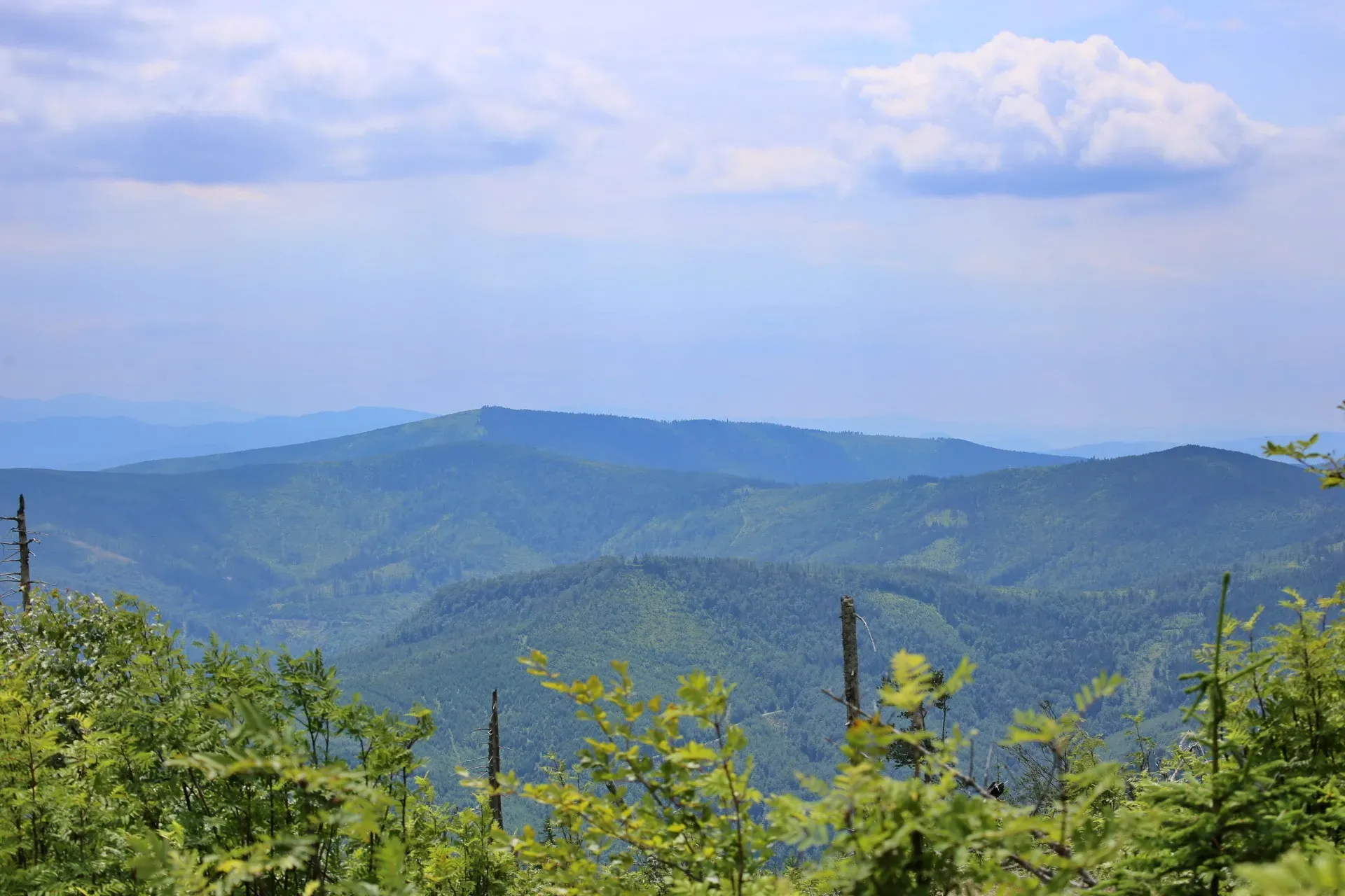 Beskid Żywiecki landscape