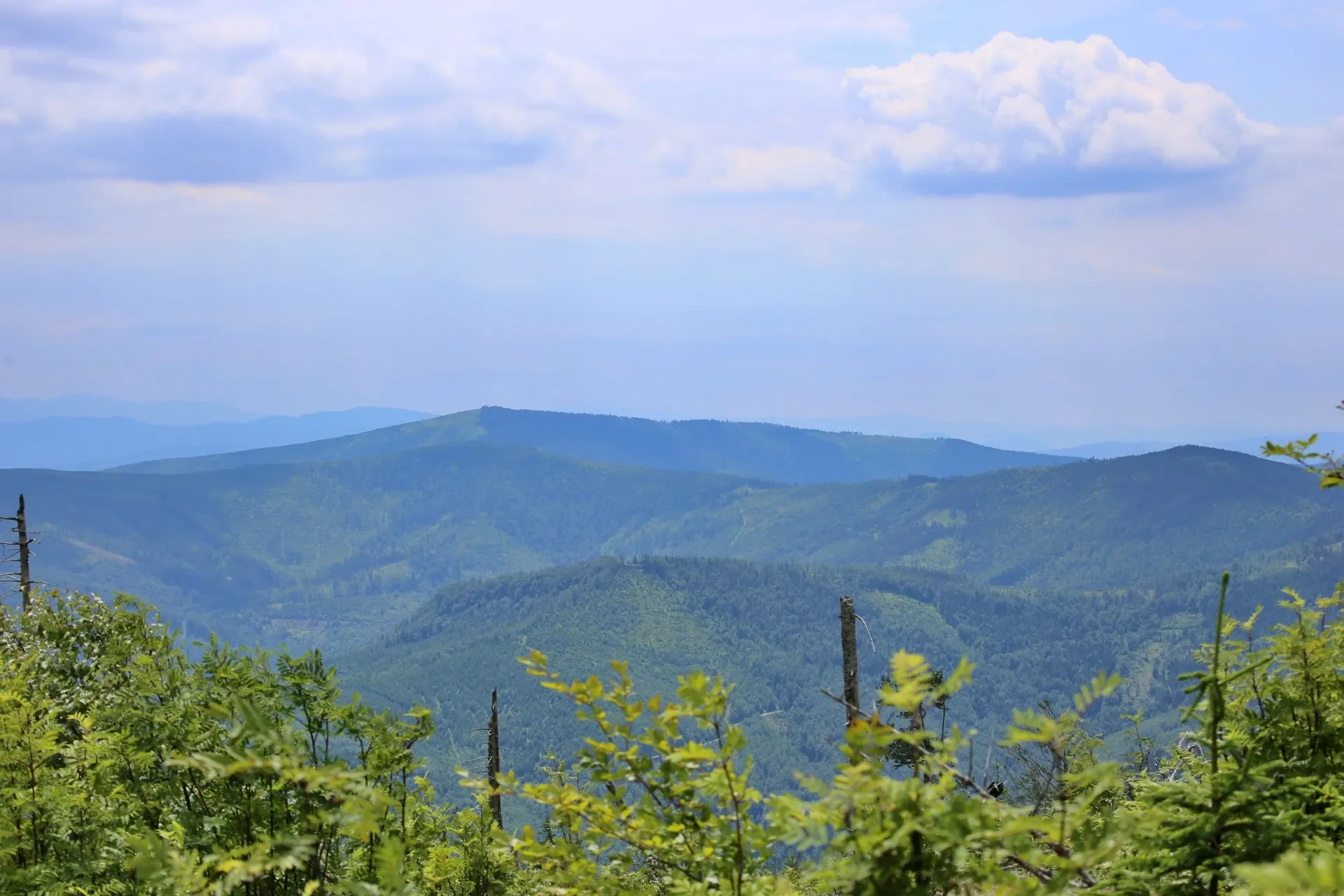 Beskid Żywiecki landscape