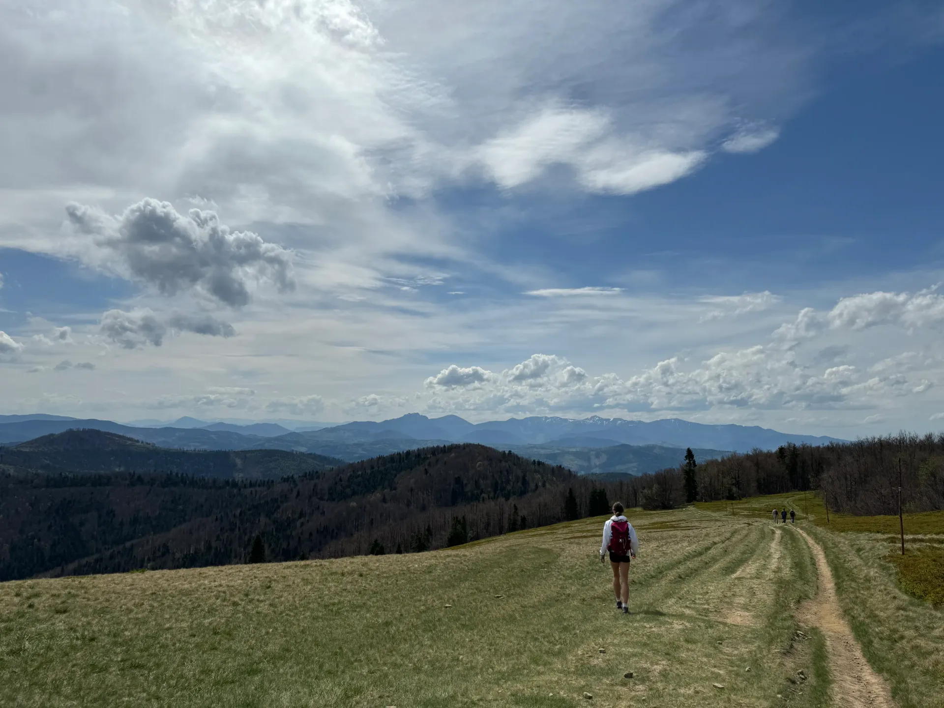 Gorce landscape