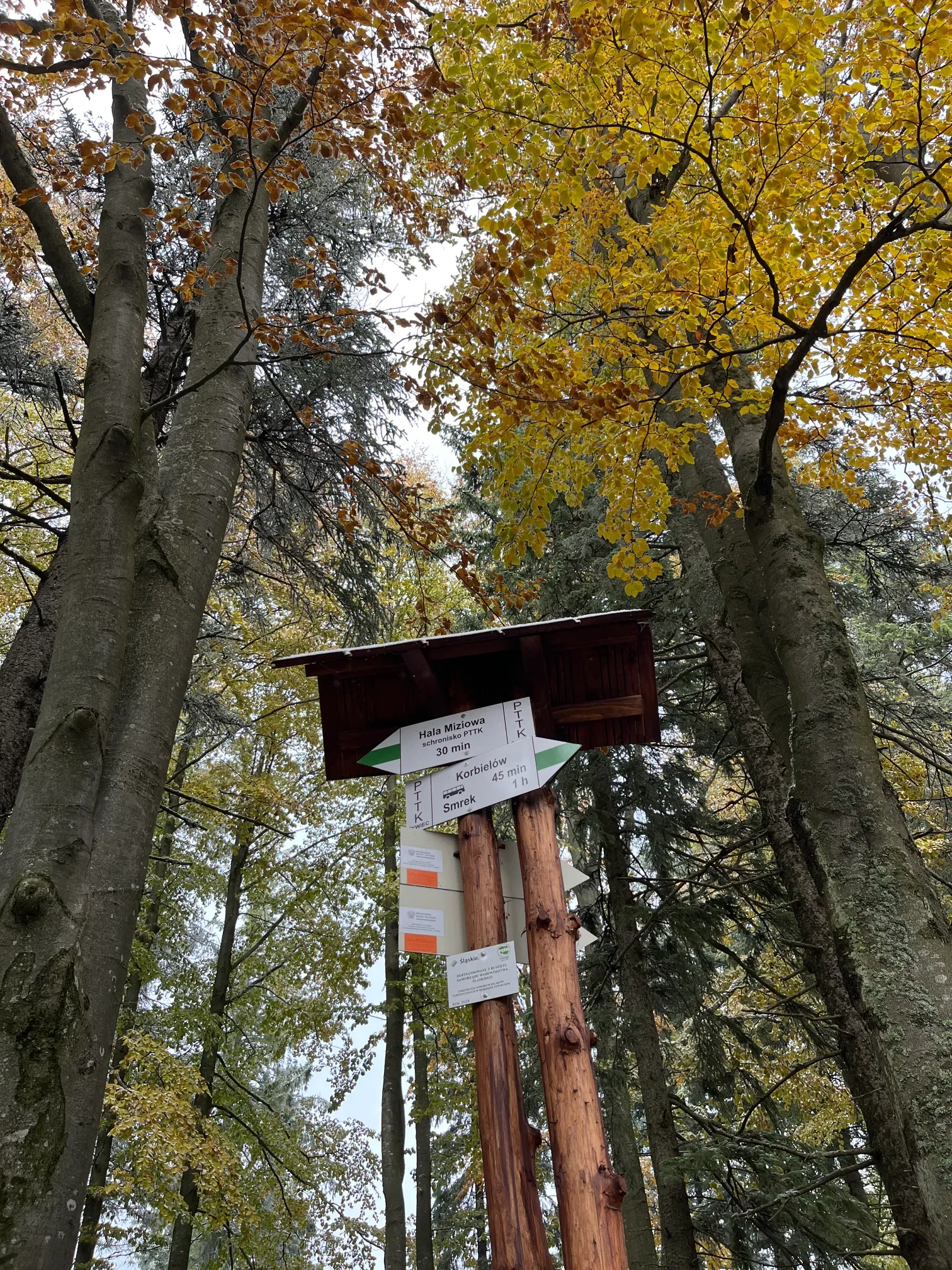 Rozcestník PTTK na žluté značce ukazující Halu Miziowou a Korbielów v podzimním lese Żywieckých Beskyd