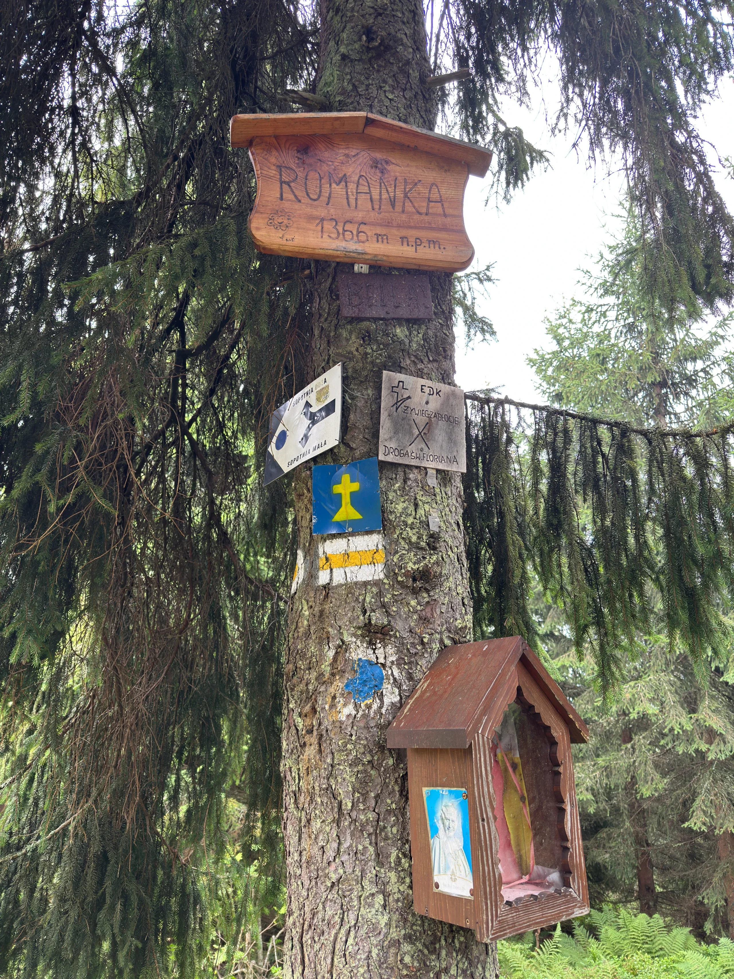 Tabliczka Romanka 1366 m n.p.m. i kapliczka na drzewie na szczycie