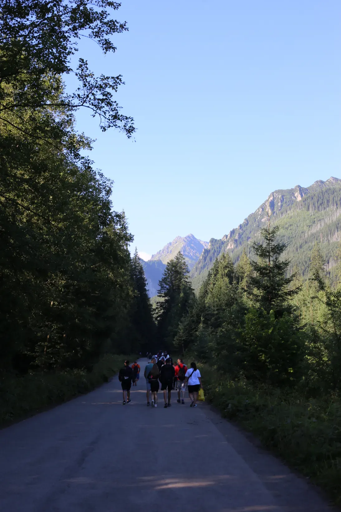 Hikers on the asphalt trail road from Palenica Białczańska through forest toward the Tatra peaks in the morning