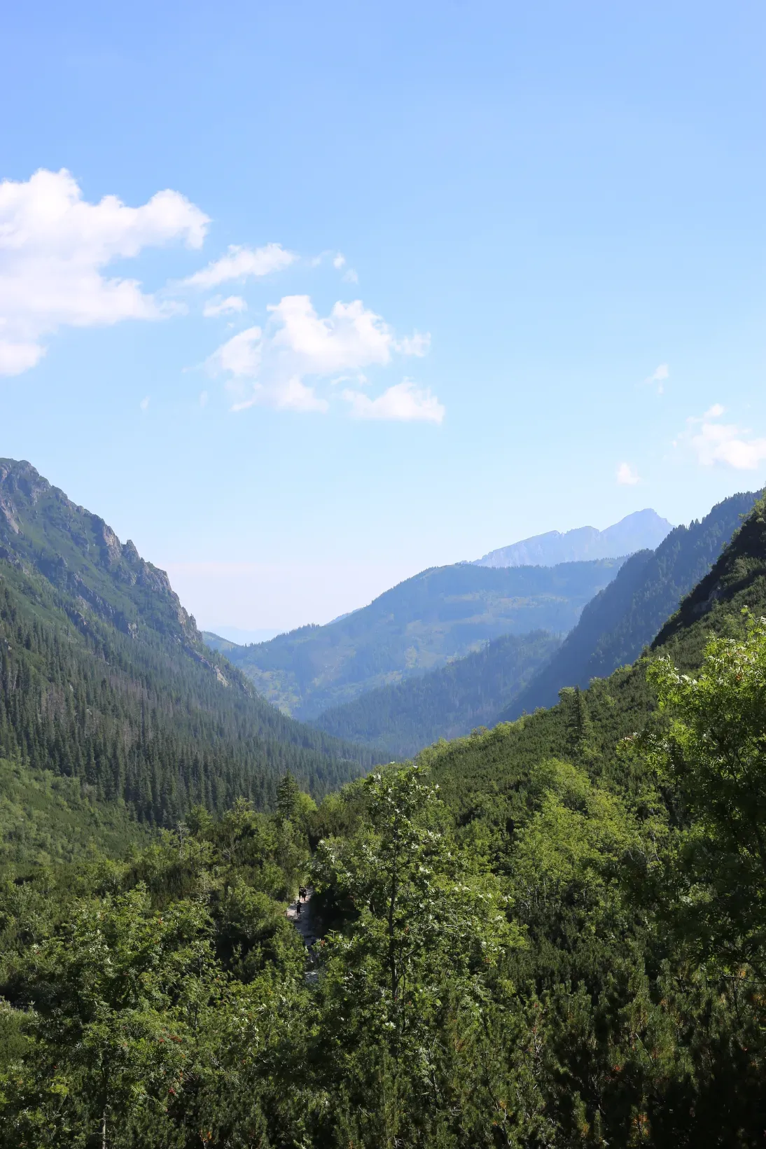 Wide view of the forested Tatra valley below from the green trail ascending toward Dolina Pięciu Stawów