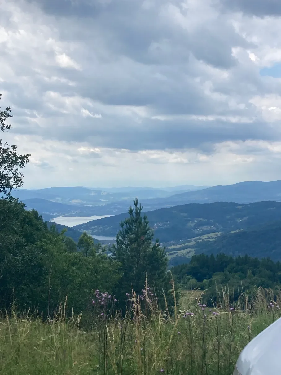 Panorama z louky na Skrzycznem na Żywiecké jezero a Żywieckou kotlinu s lučními květy