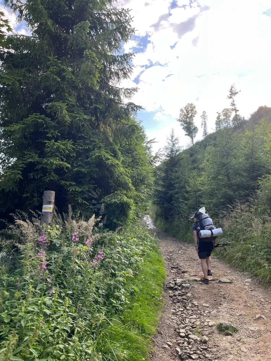 Turista s batohem na kamenité cestě žluté značky na Wielkou Raczu mezi letními lesy