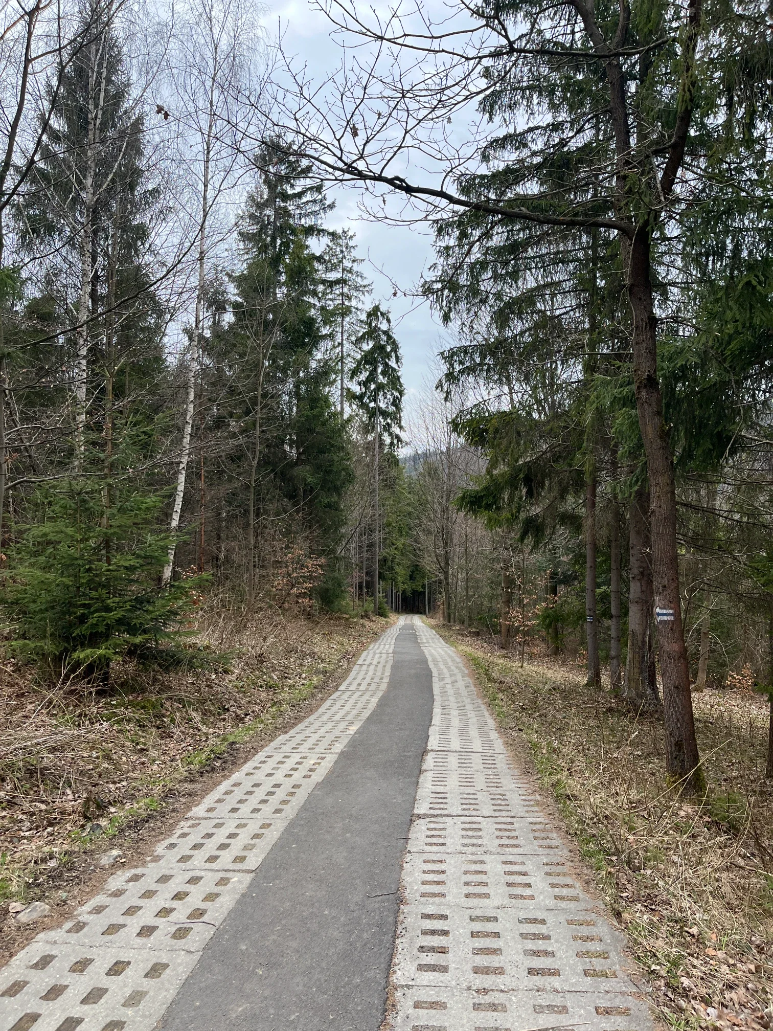 Zpevněná cesta z betonových panelů vedoucí smrkovým lesem po modré značce směrem k sedlu Łączecko