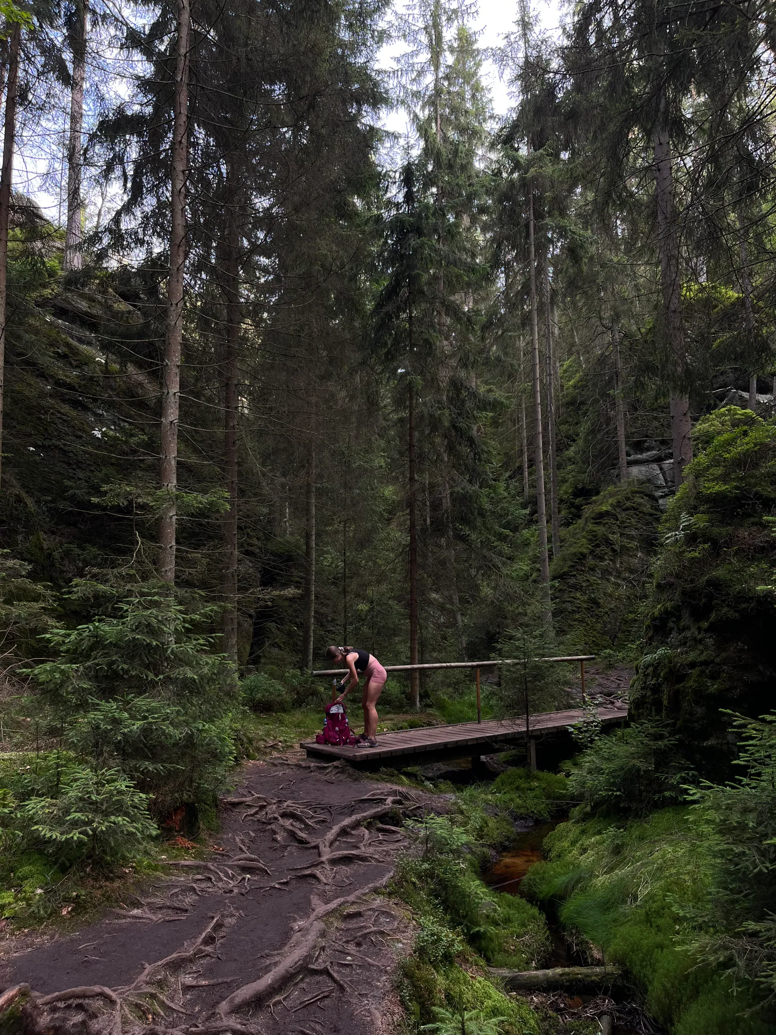 Wilczy Wąwóz latem