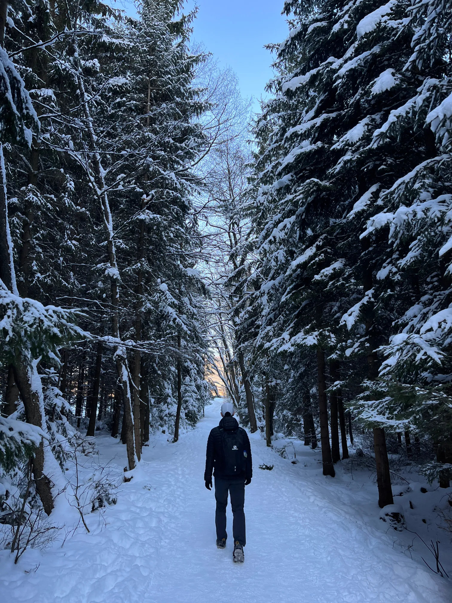 Zimowy krajobraz Skalnego Miasta