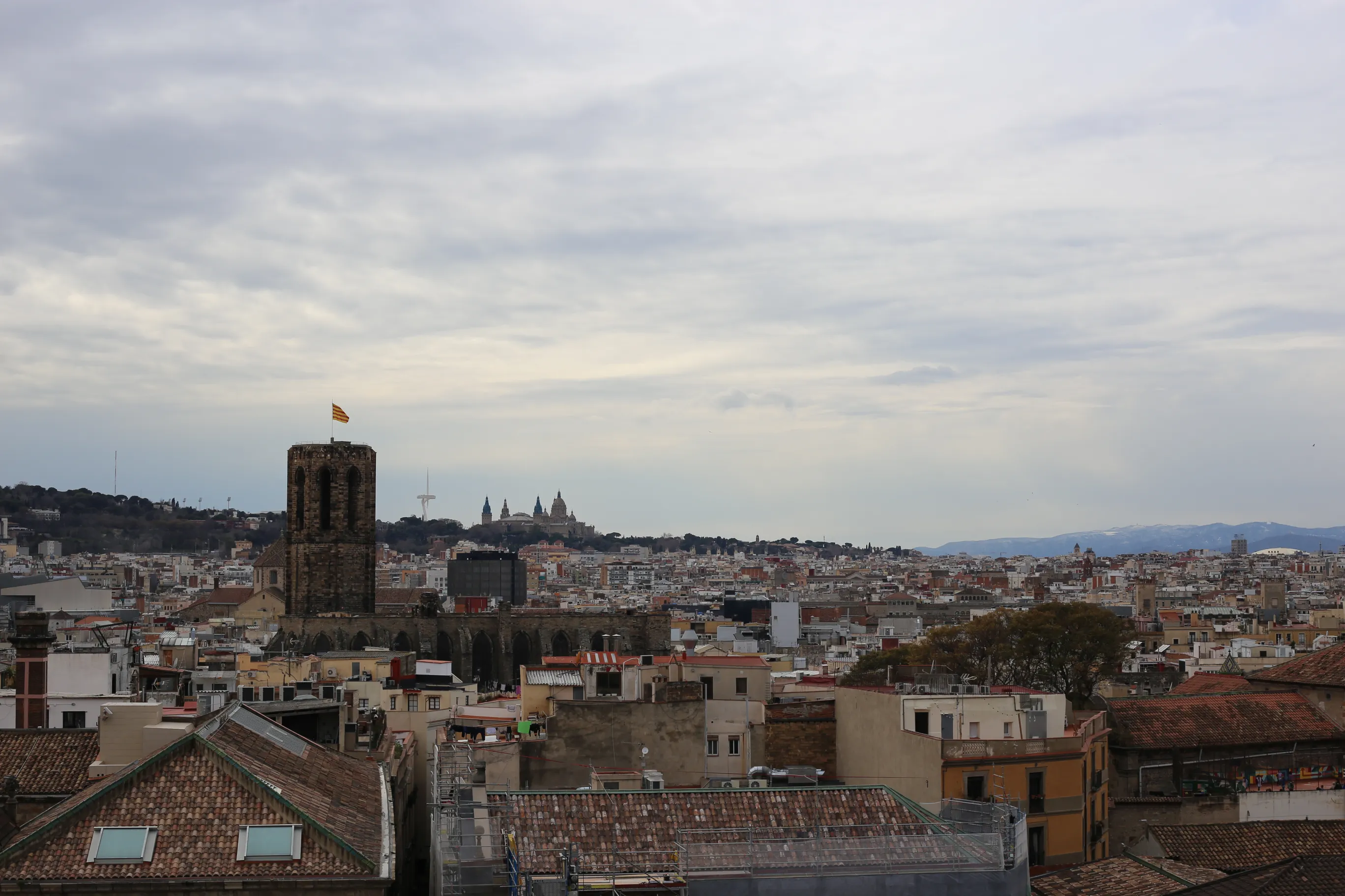 Widok z dachu katedry