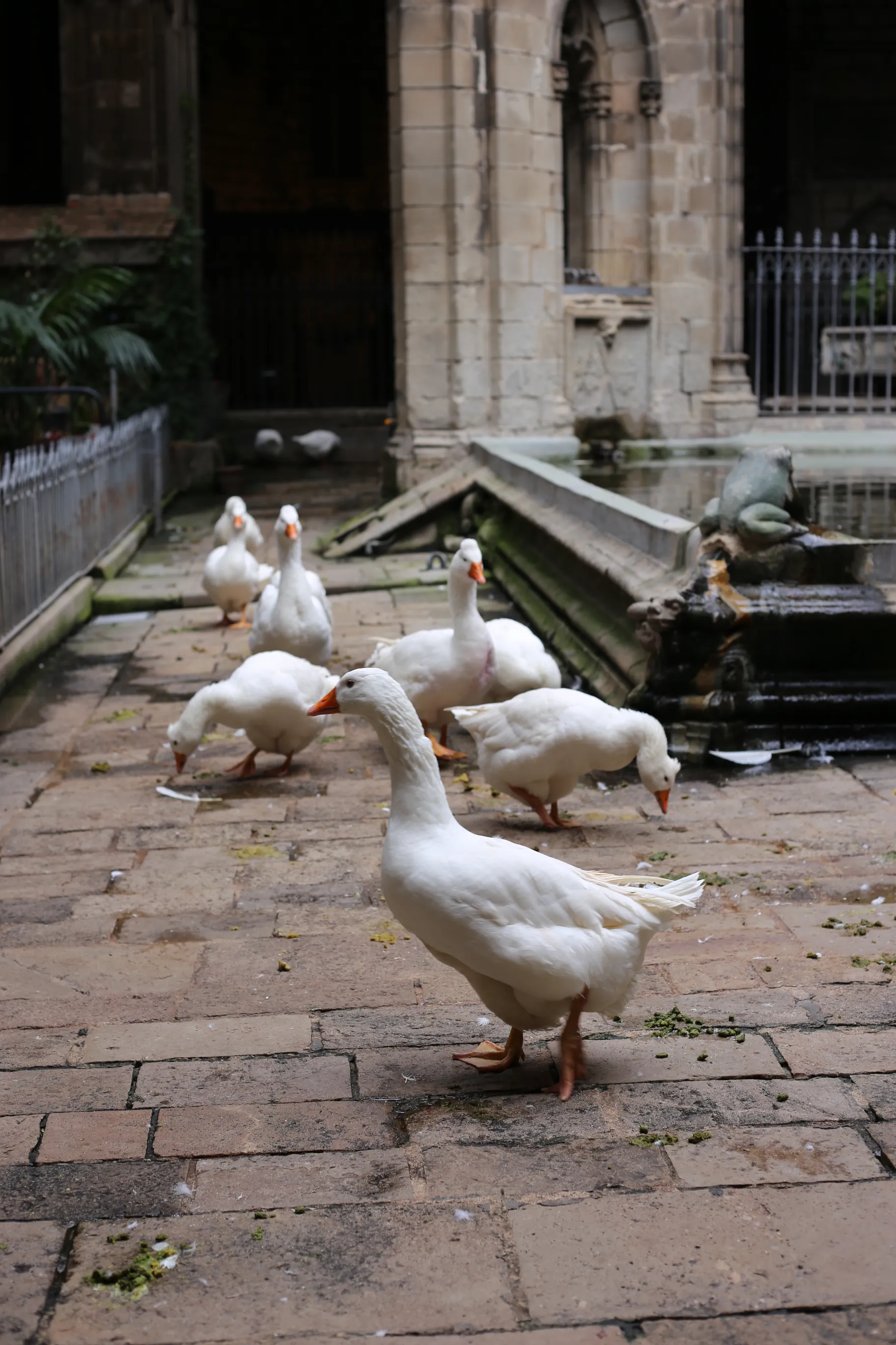 Widok z dachu katedry