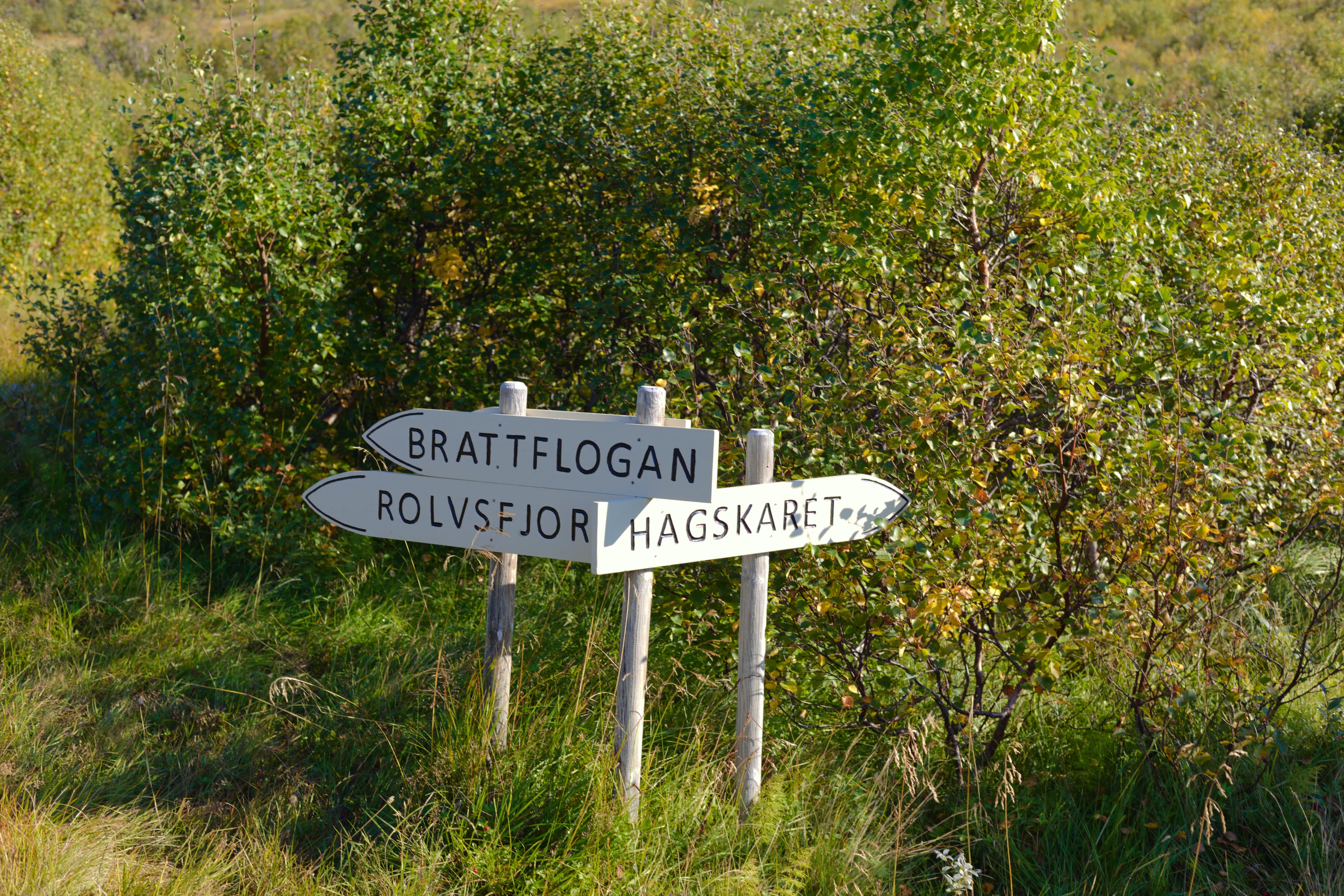 Trail signpost showing directions to Blåtind and Hagskaret