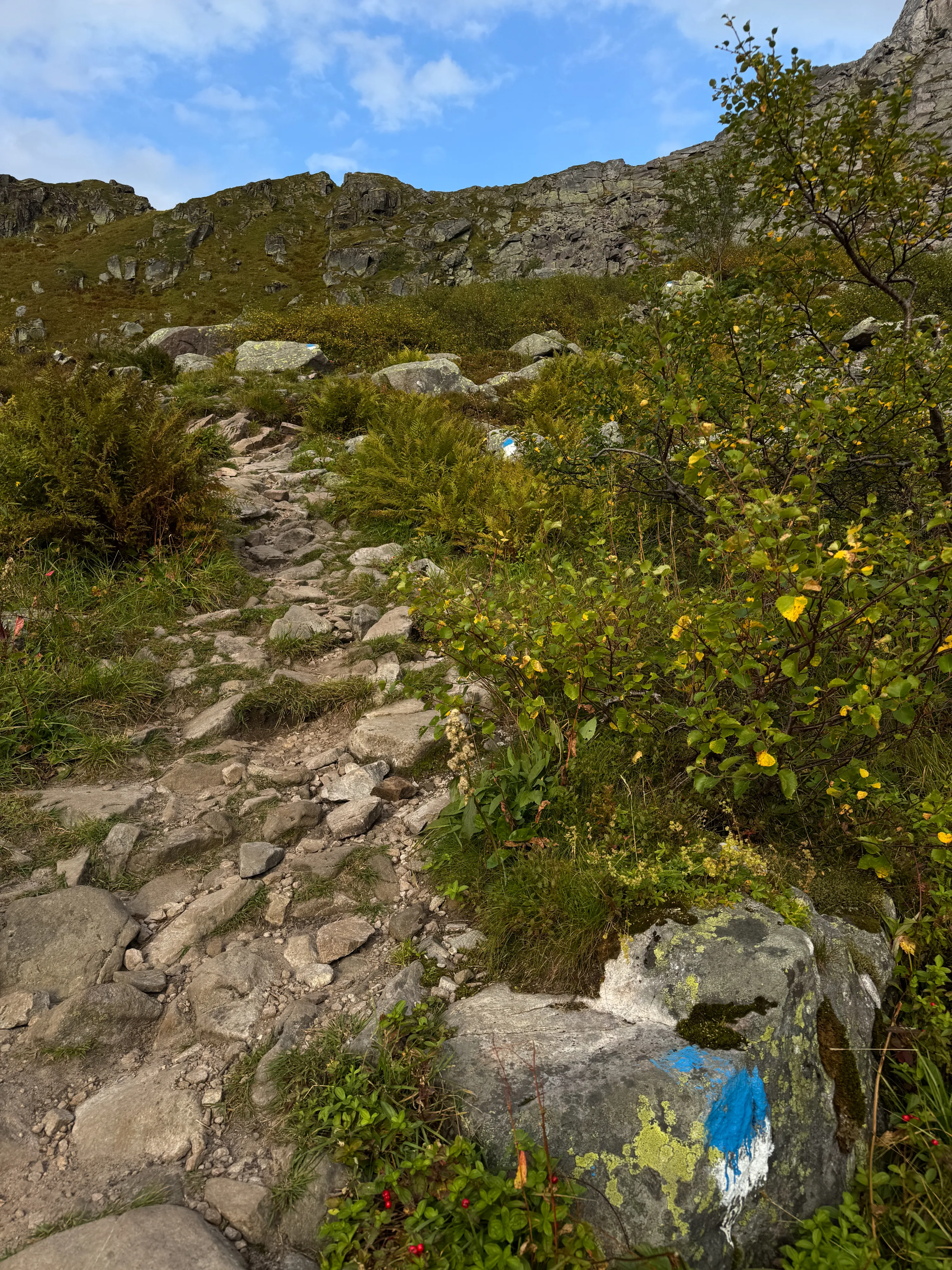 Blue trail markings on Djevelporten