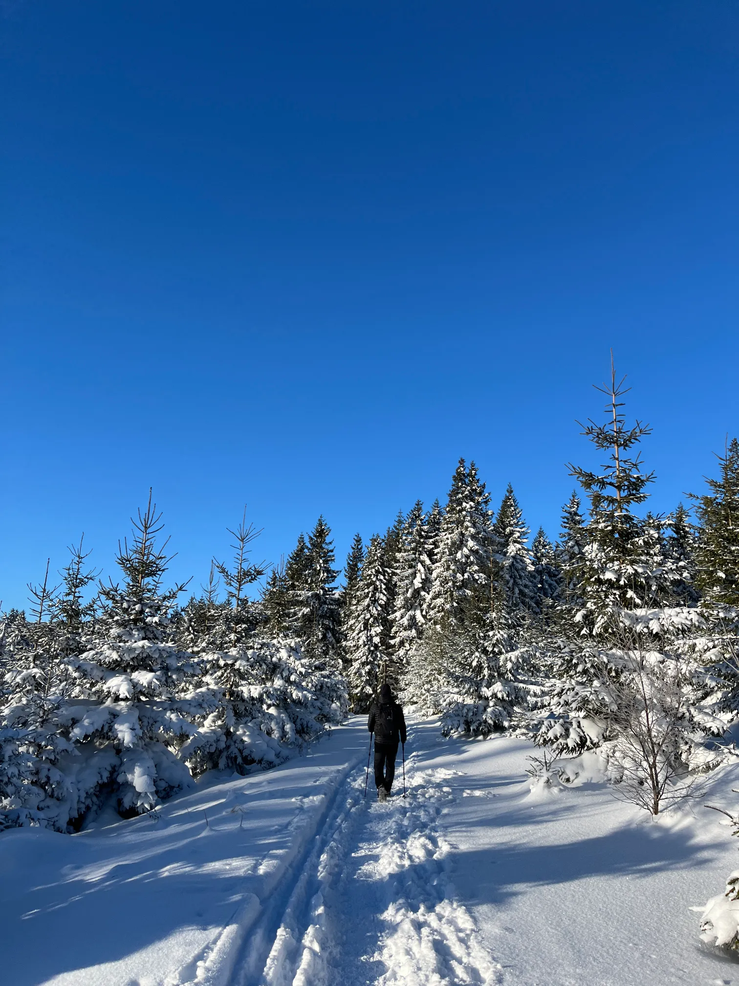 Jelenka trail in the Karkonosze Mountains