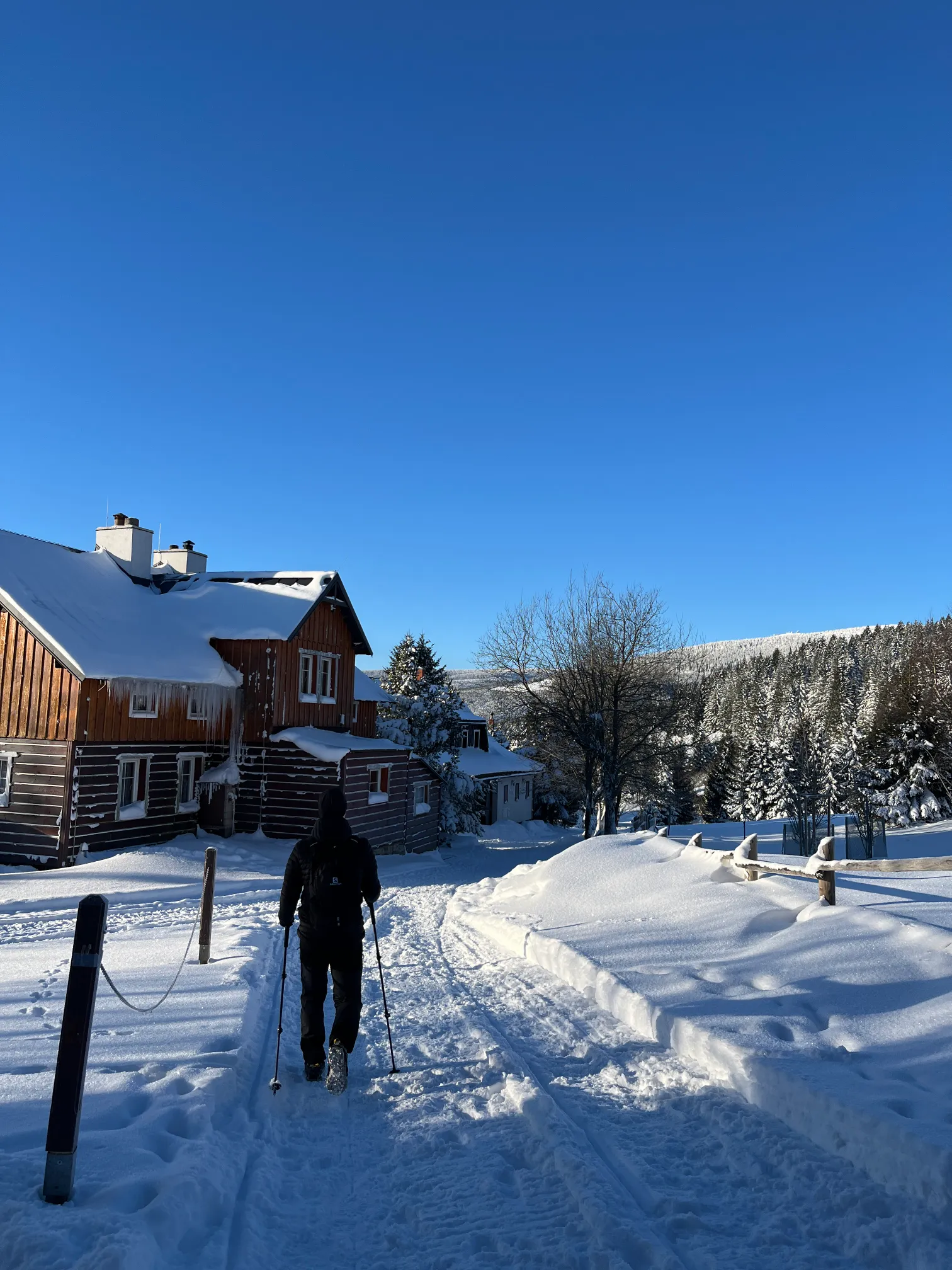 Yellow trail on the Jelenka route in the Karkonosze Mountains