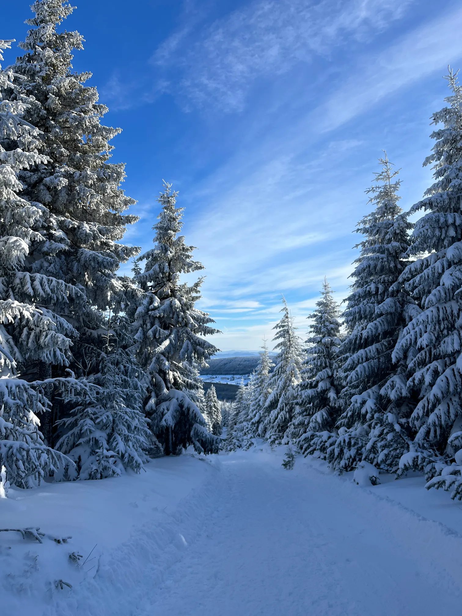 View on the Jelenka route in the Karkonosze Mountains