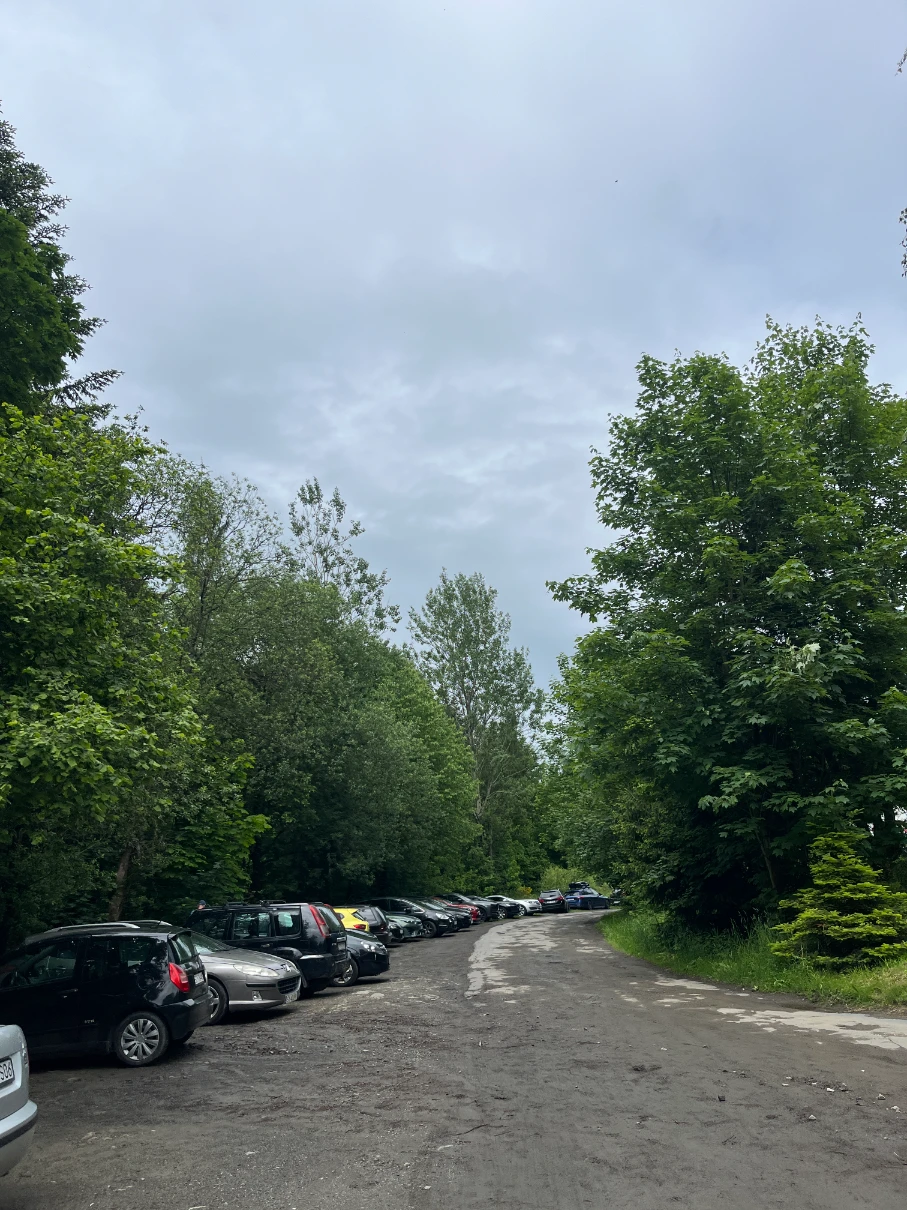 Parking w Dolinie Hołcyny - samochody zaparkowane wzdłuż drogi