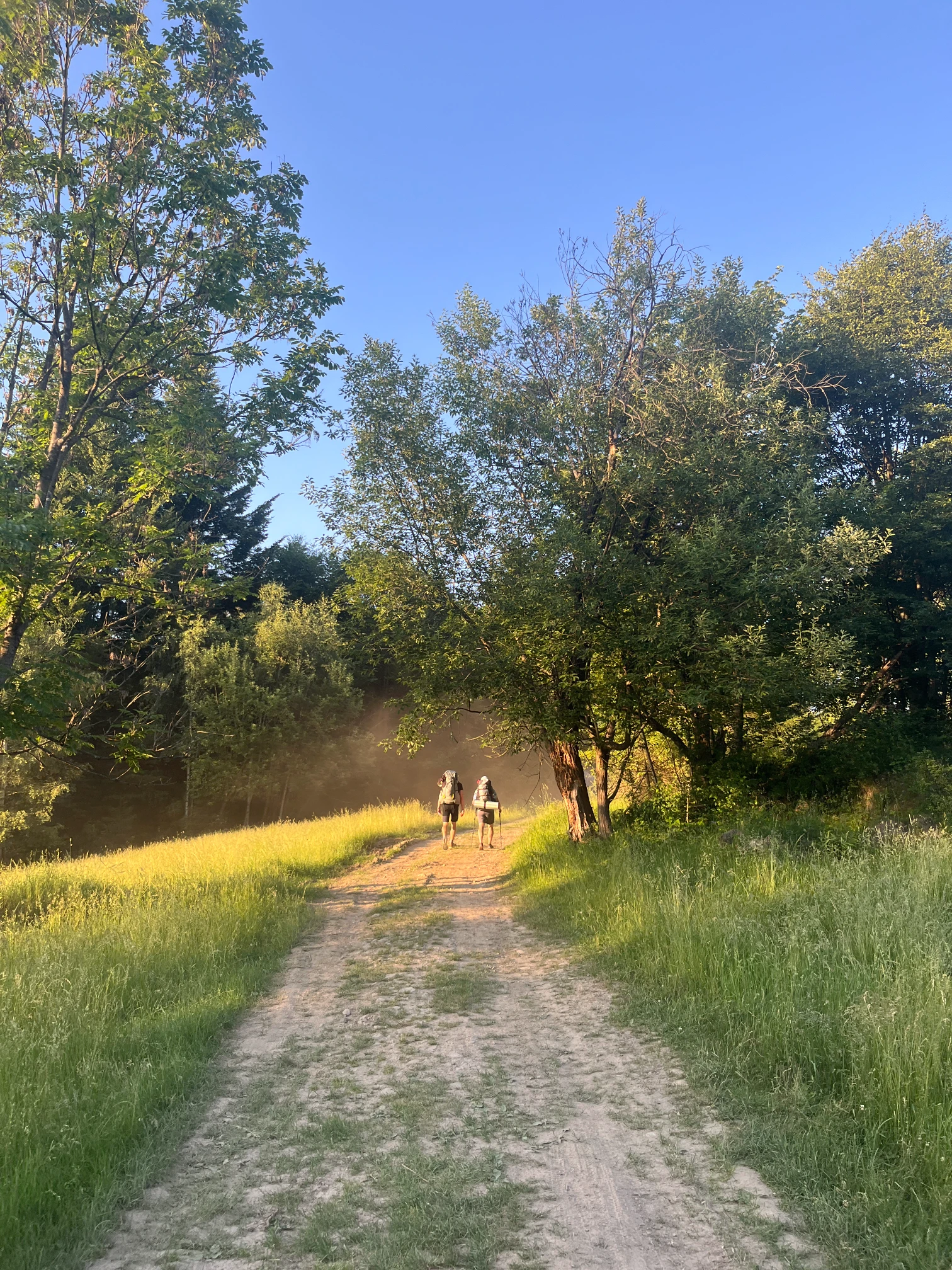 Hikers on the wide, trodden path of the yellow trail