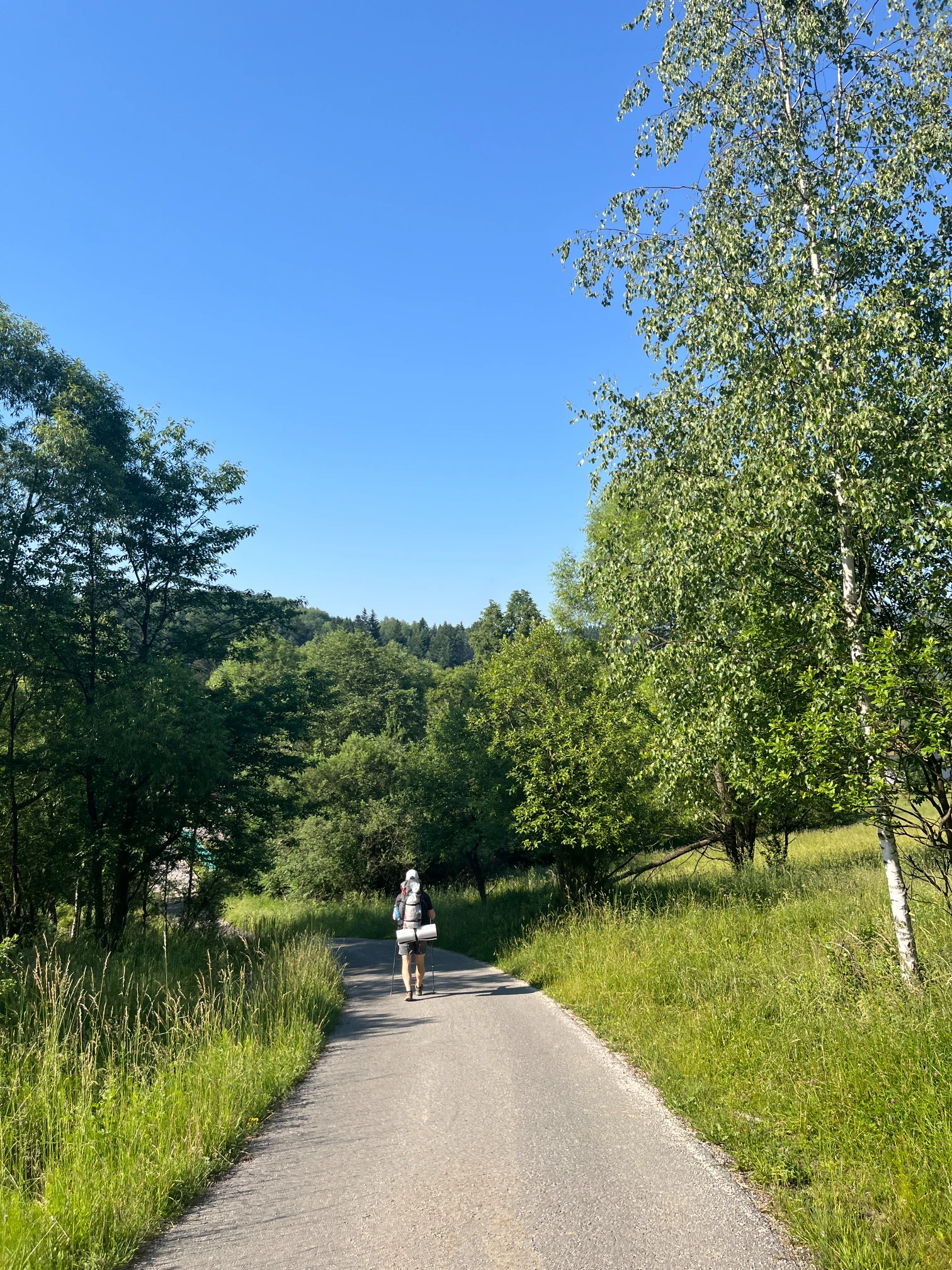 Path descending through the meadow on the way back to Glinka