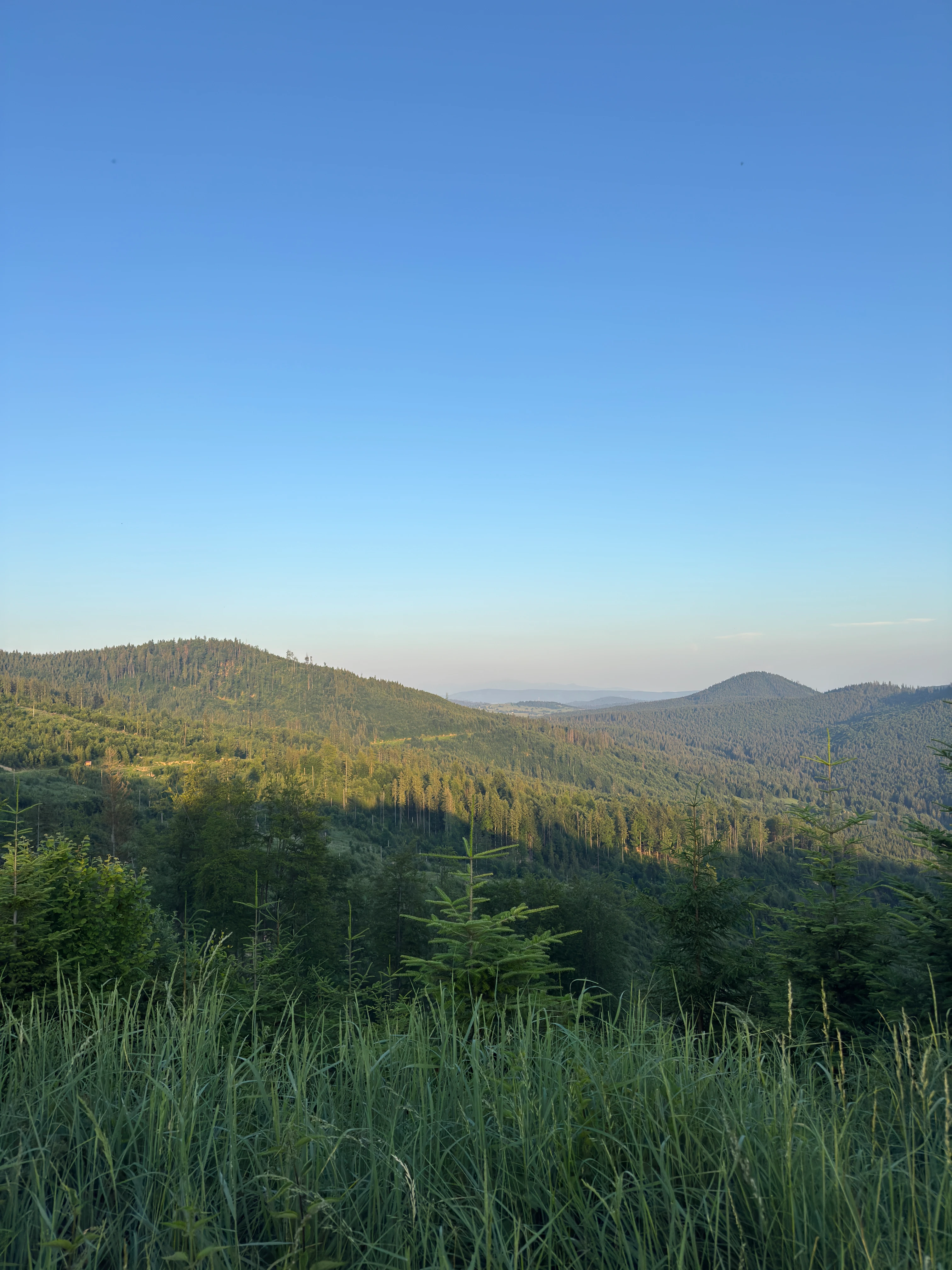 Panorama of the Beskid peaks seen from the yellow trail