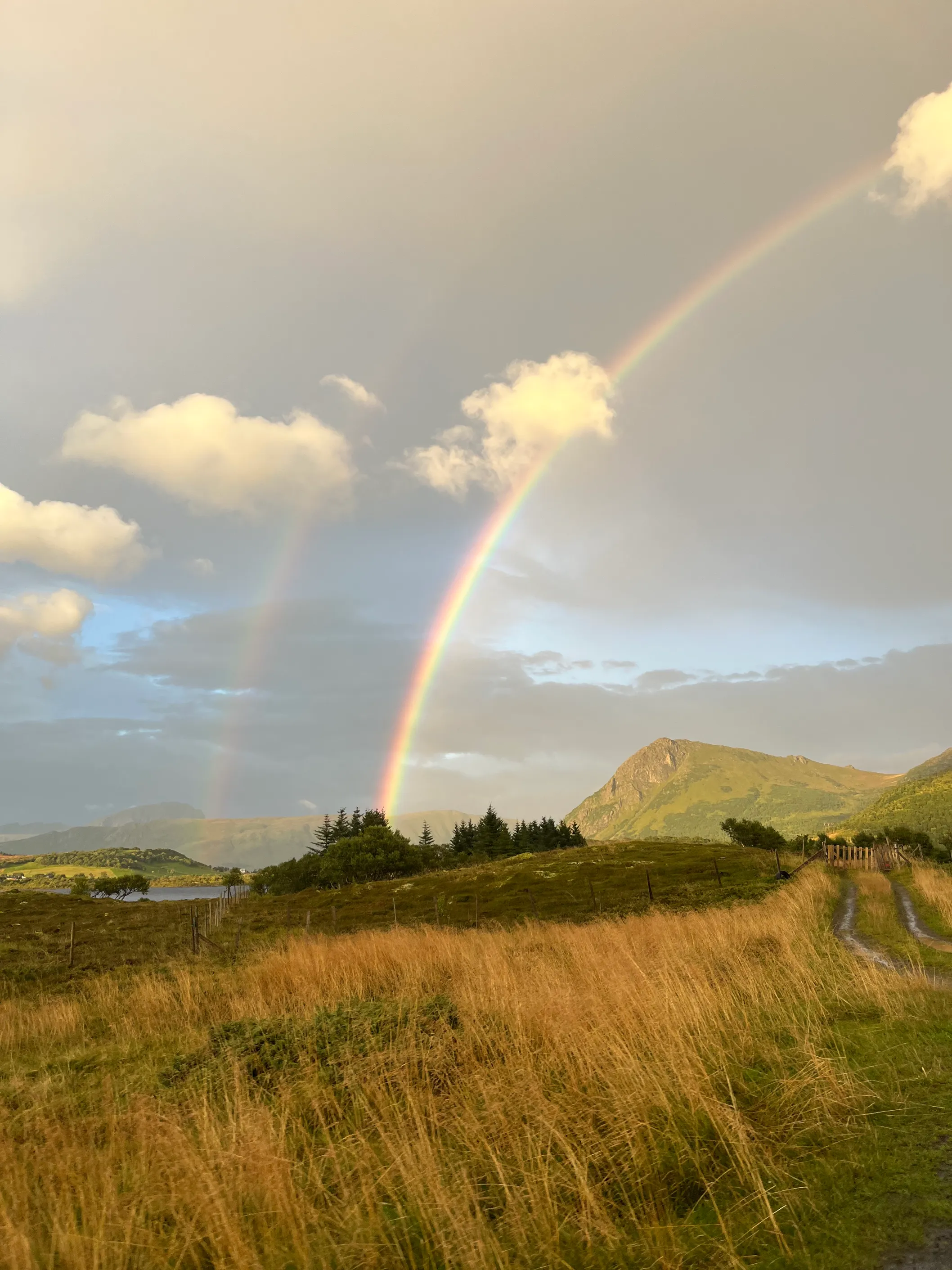 Rainbow over Lofoten