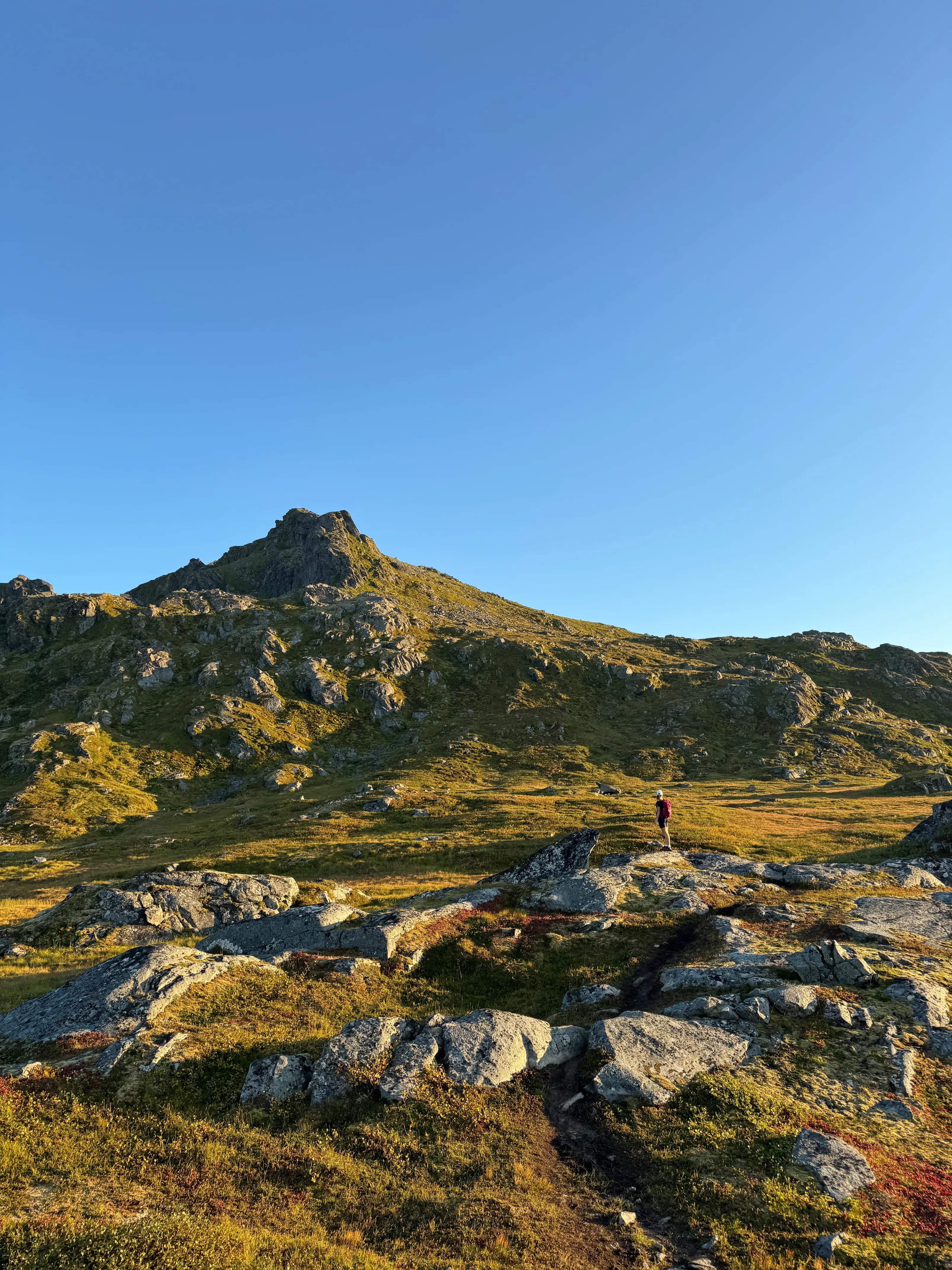 Górski krajobraz ze szczytu Blåtinden na Lofotach