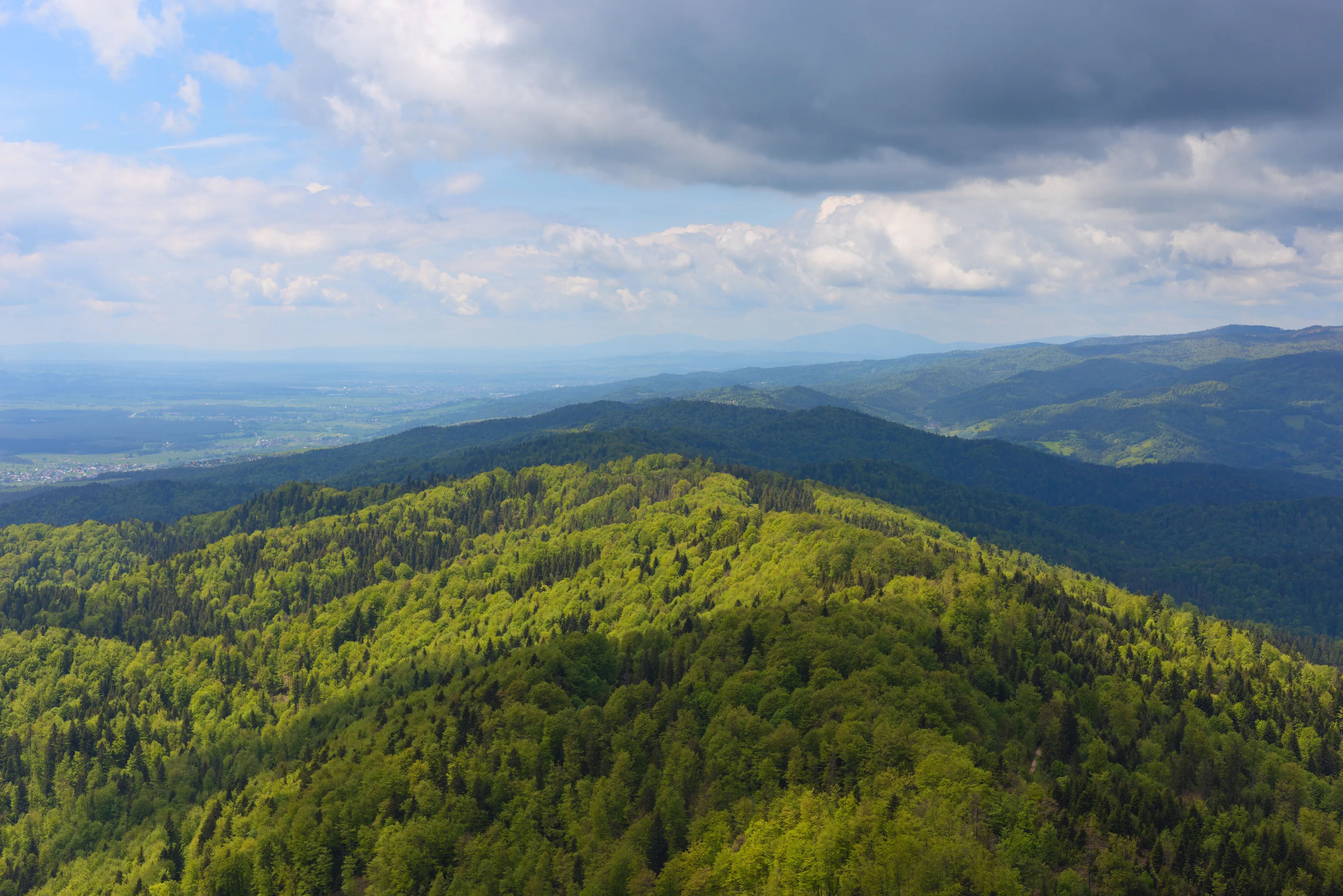 Lubań