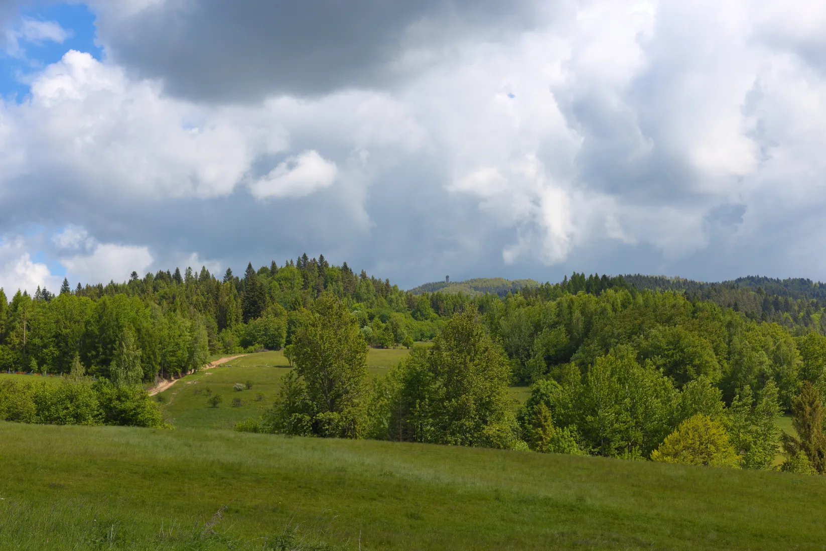 Forest path and mountain views on Lubań trail