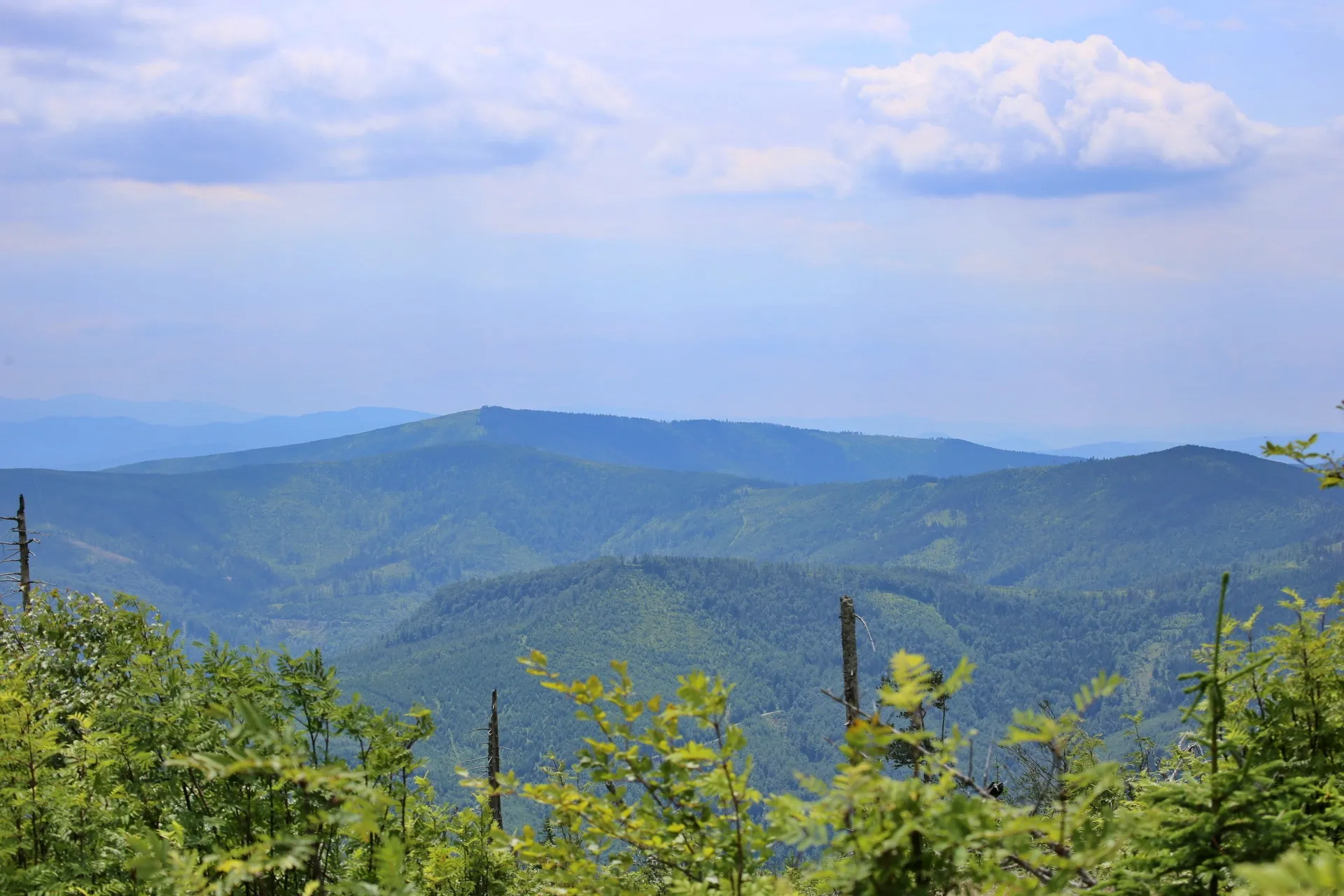 Żywiec Beskids landscape