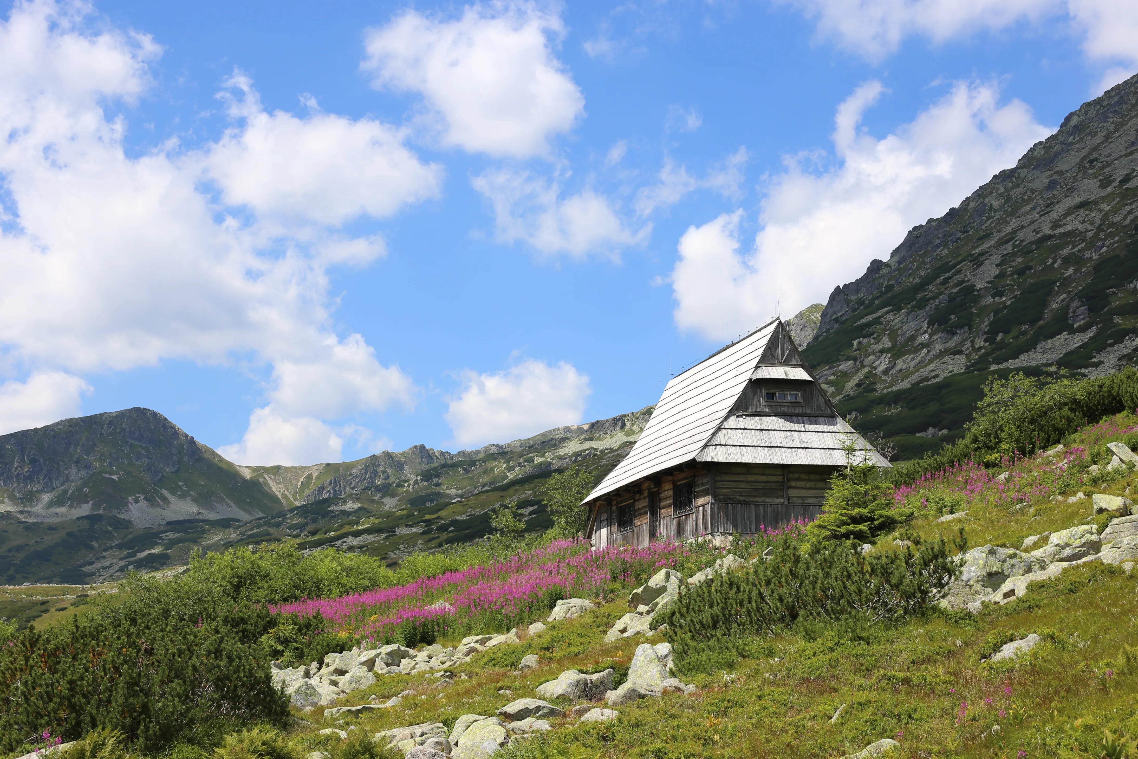Tatry landscape
