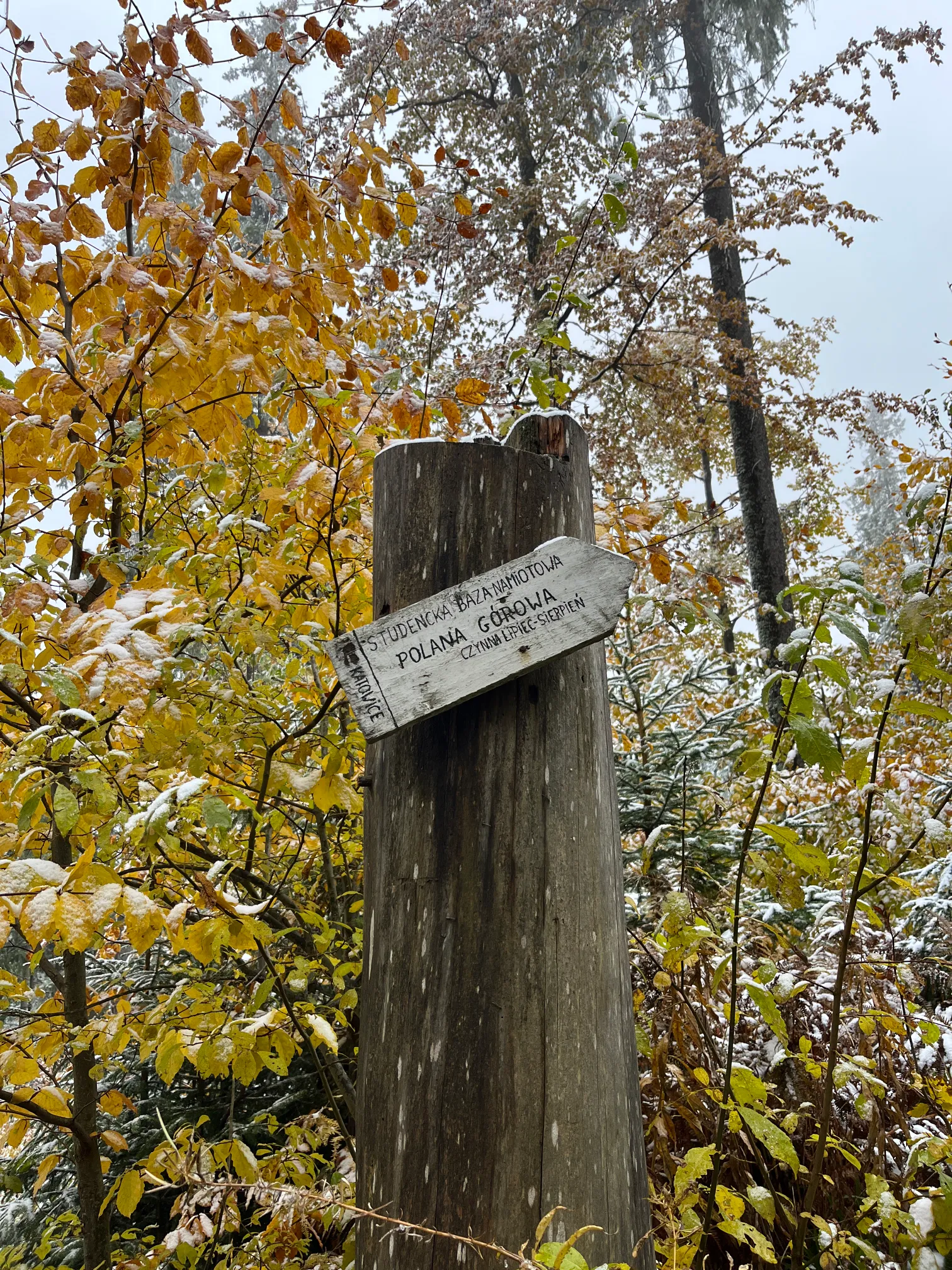 Znak informujący o bazie namiotowej pod Pilskiem