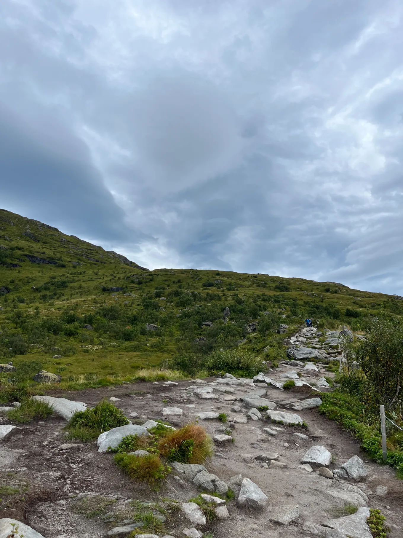 Górska ścieżka na Lofotach prowadząca przez malowniczy krajobraz