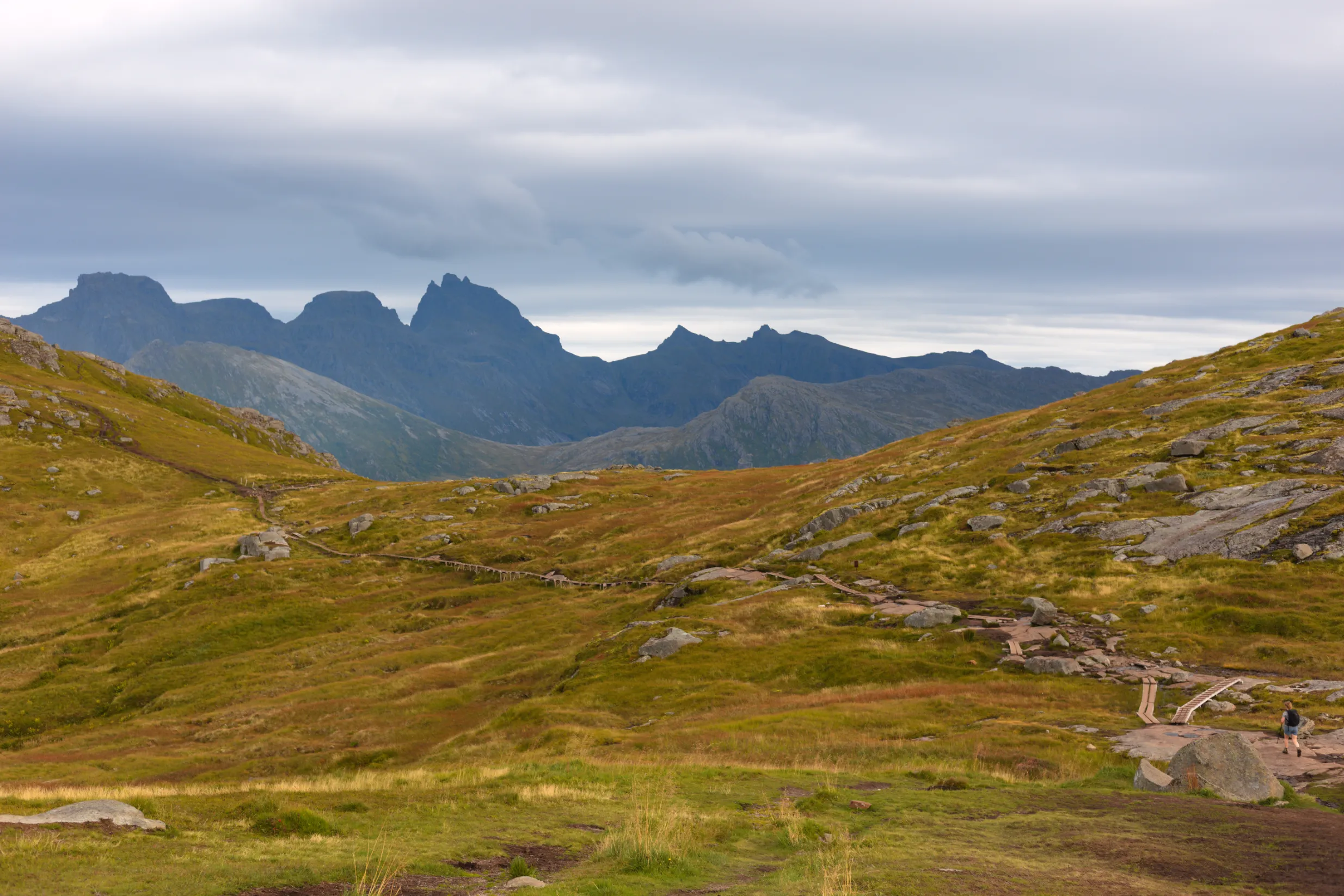 Szlak prowadzący przez dziką polanę z widokiem na góry Lofotów