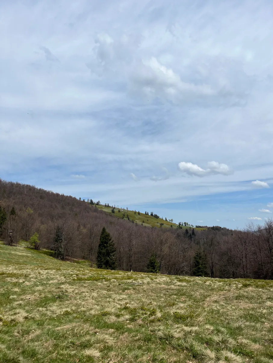 Glade on the trail to Wielka Racza