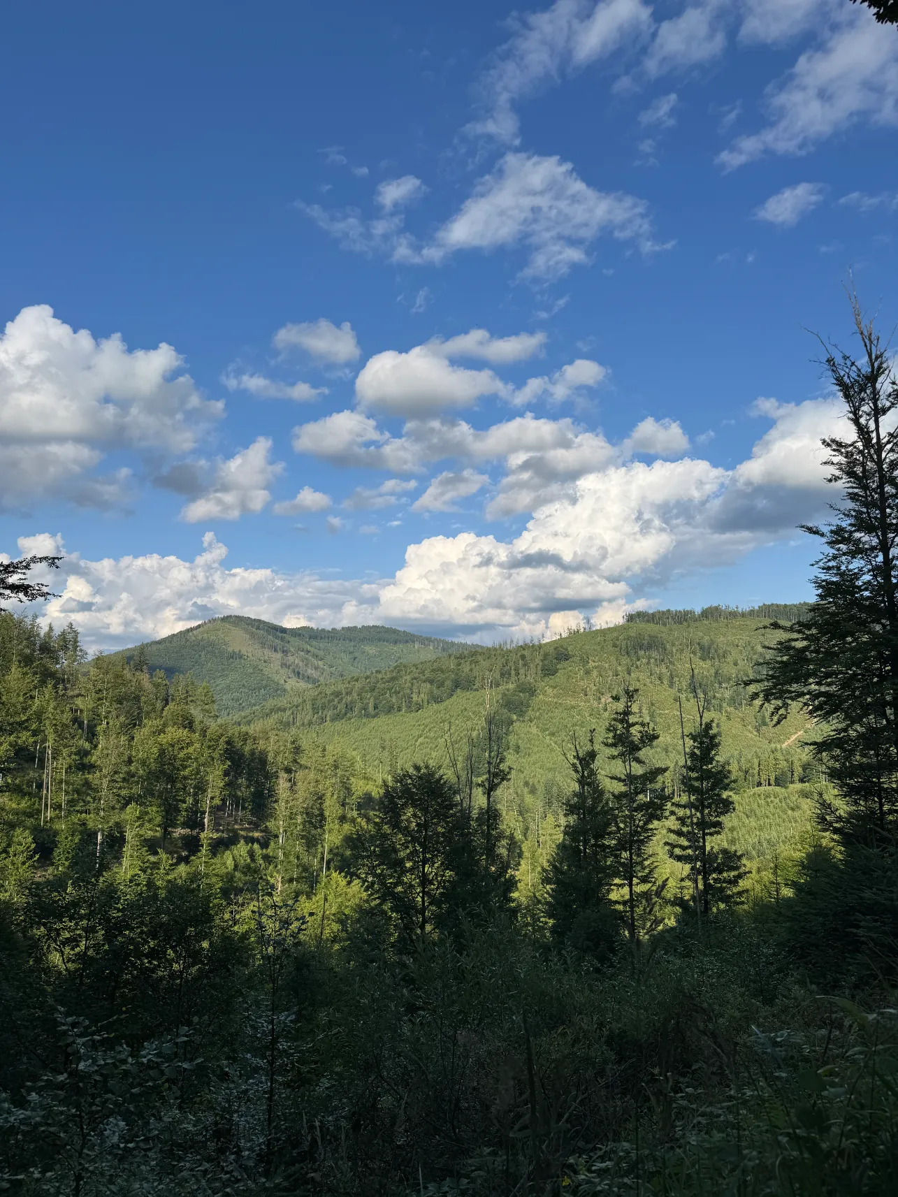 Landscape on the trail to Wielka Racza