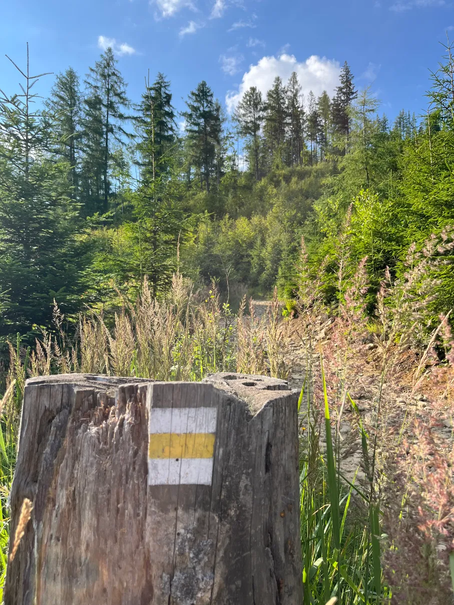 Yellow trail to Wielka Racza
