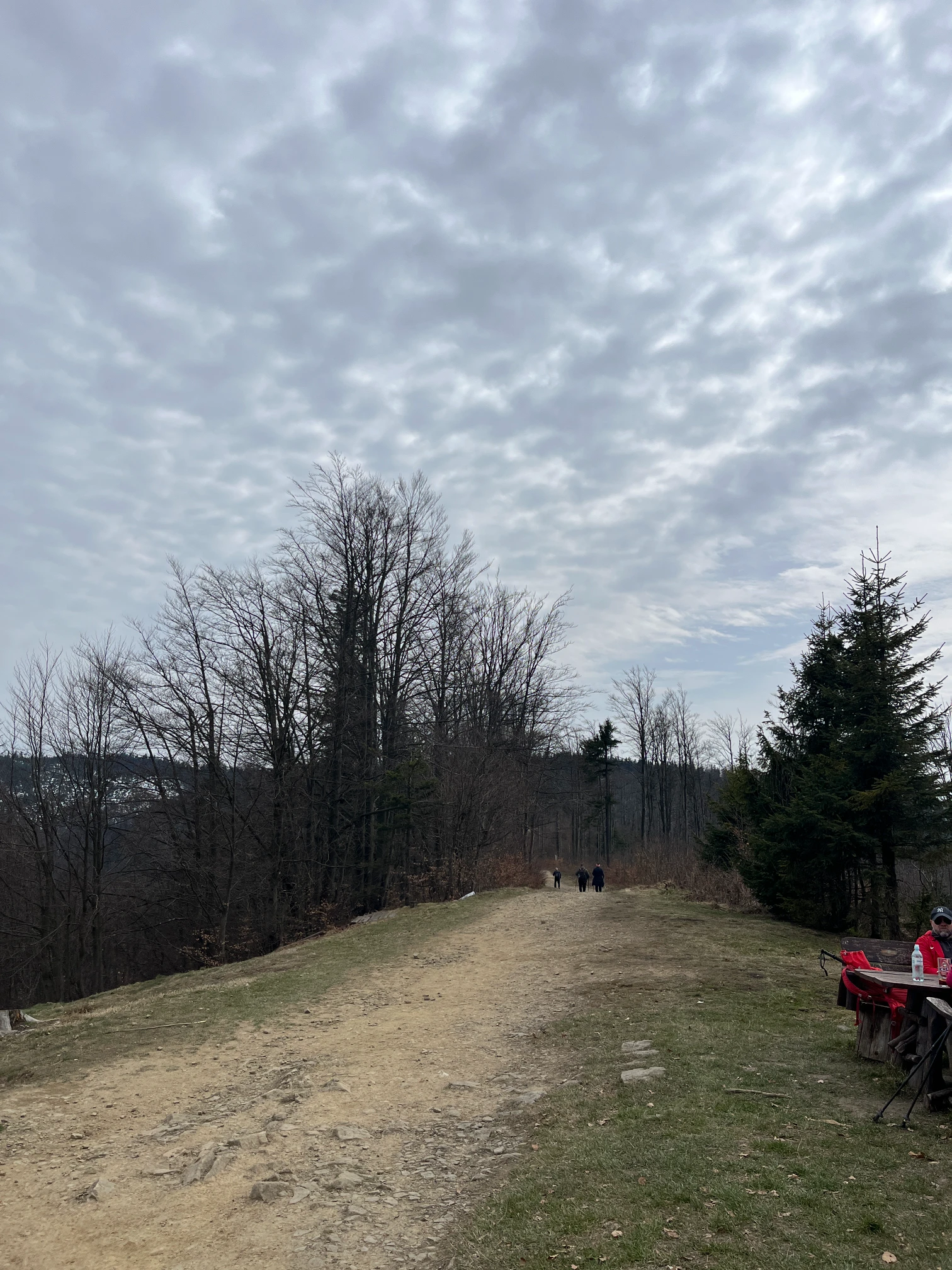 Trail along the Polish-Czech border
